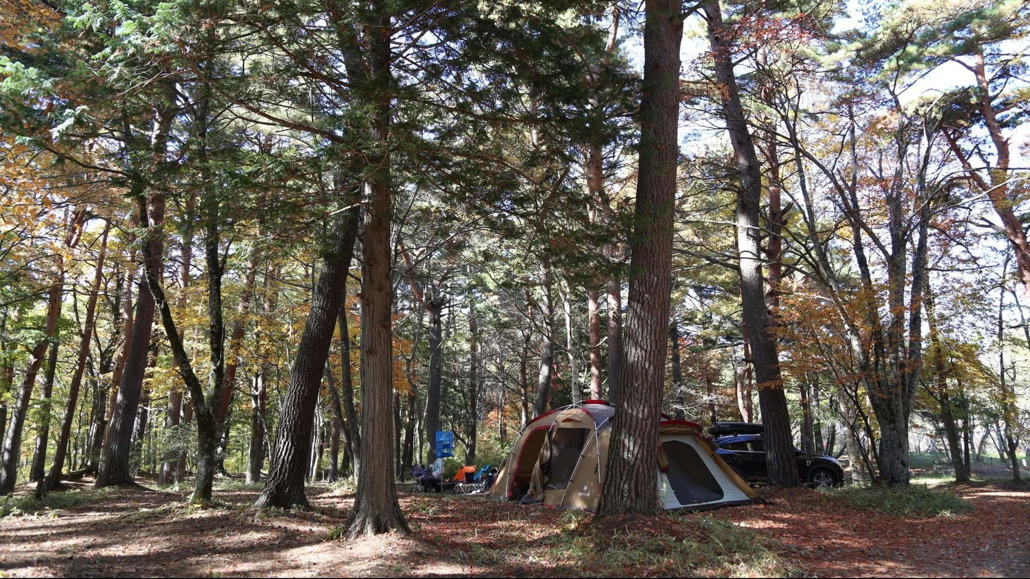 松原湖高原オートキャンプ場の写真