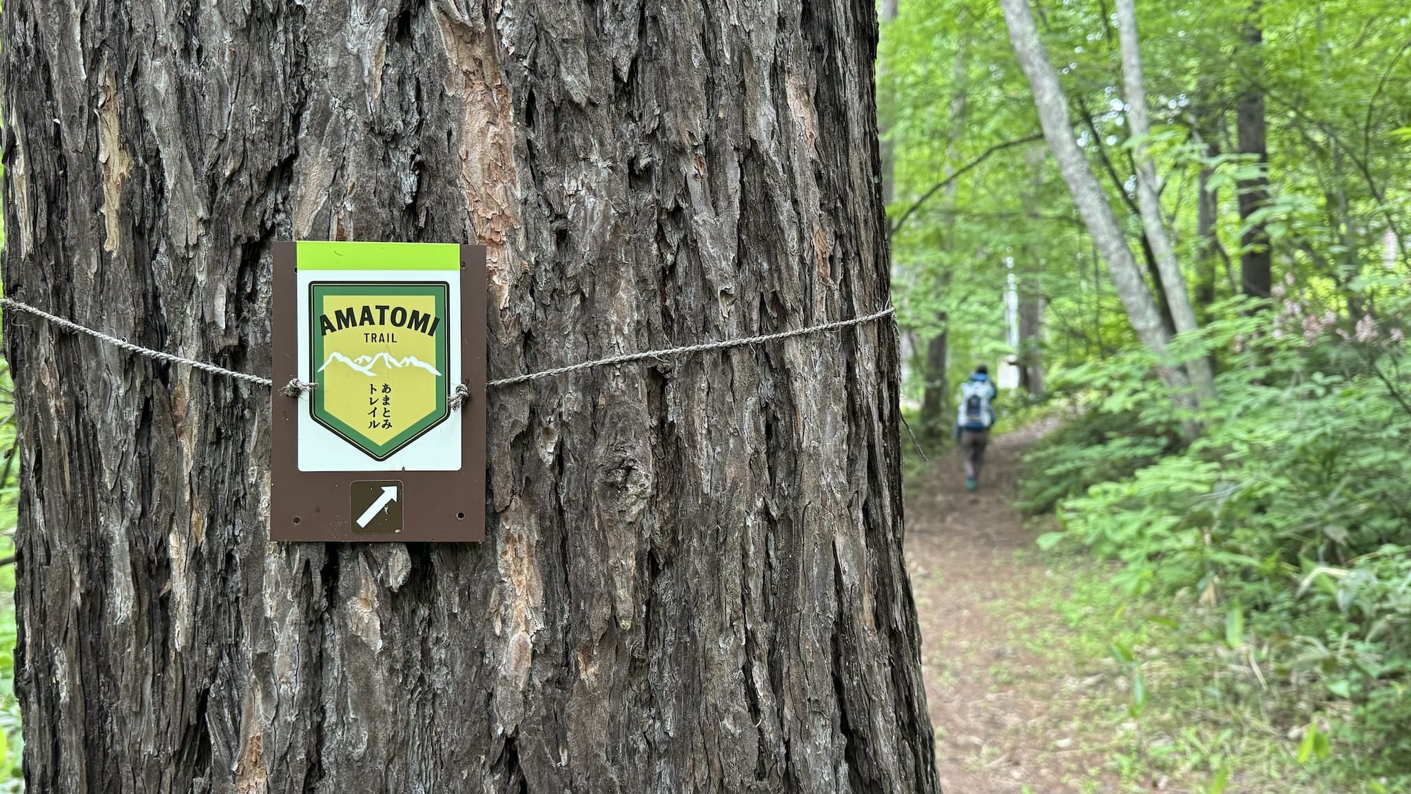善光寺平を抜け、戸隠の杜へ