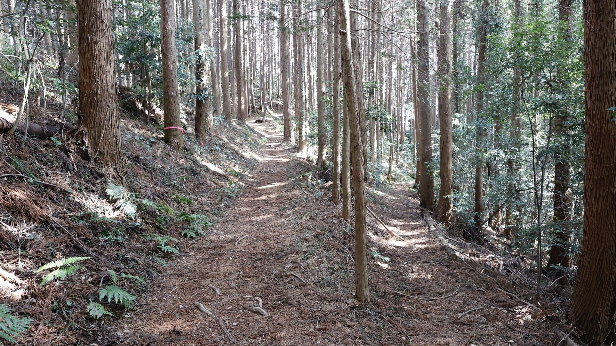 家族でたどる、日高の小さな縦走