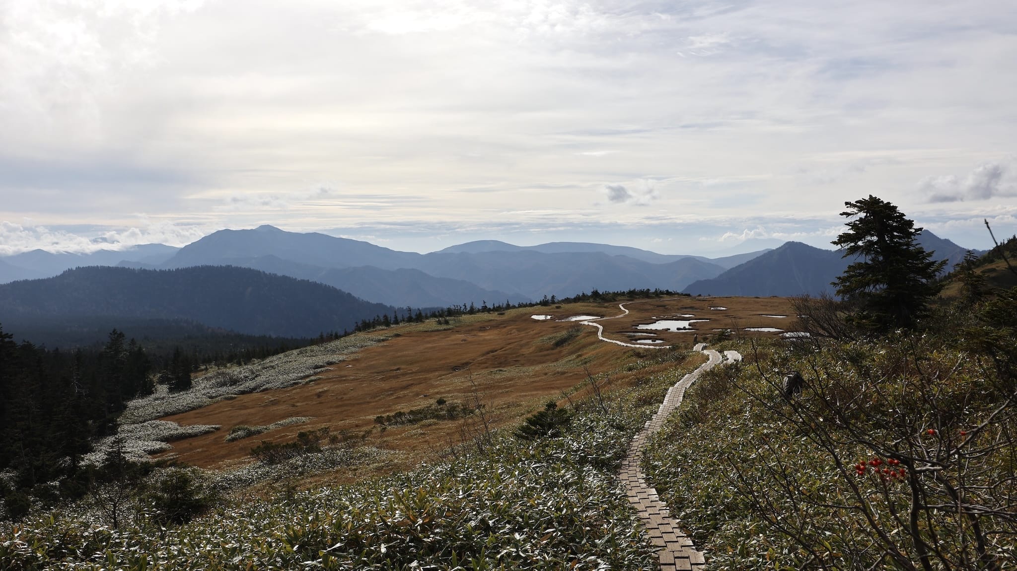 信越トレイル セクション8-9-10