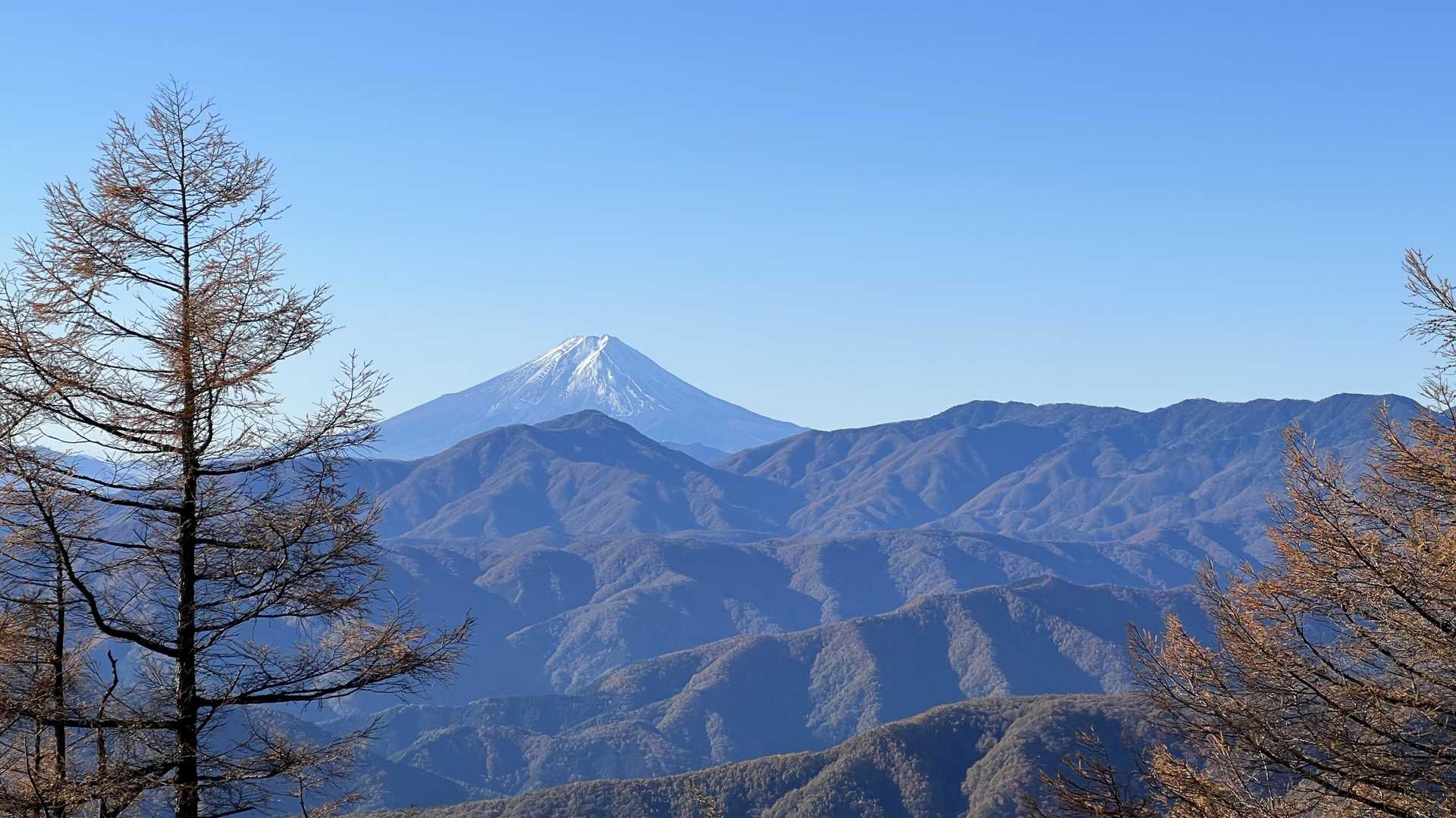 奥多摩テント泊縦走（鴨沢〜七ッ石小屋〜雲取山〜三峯神社） の写真 24