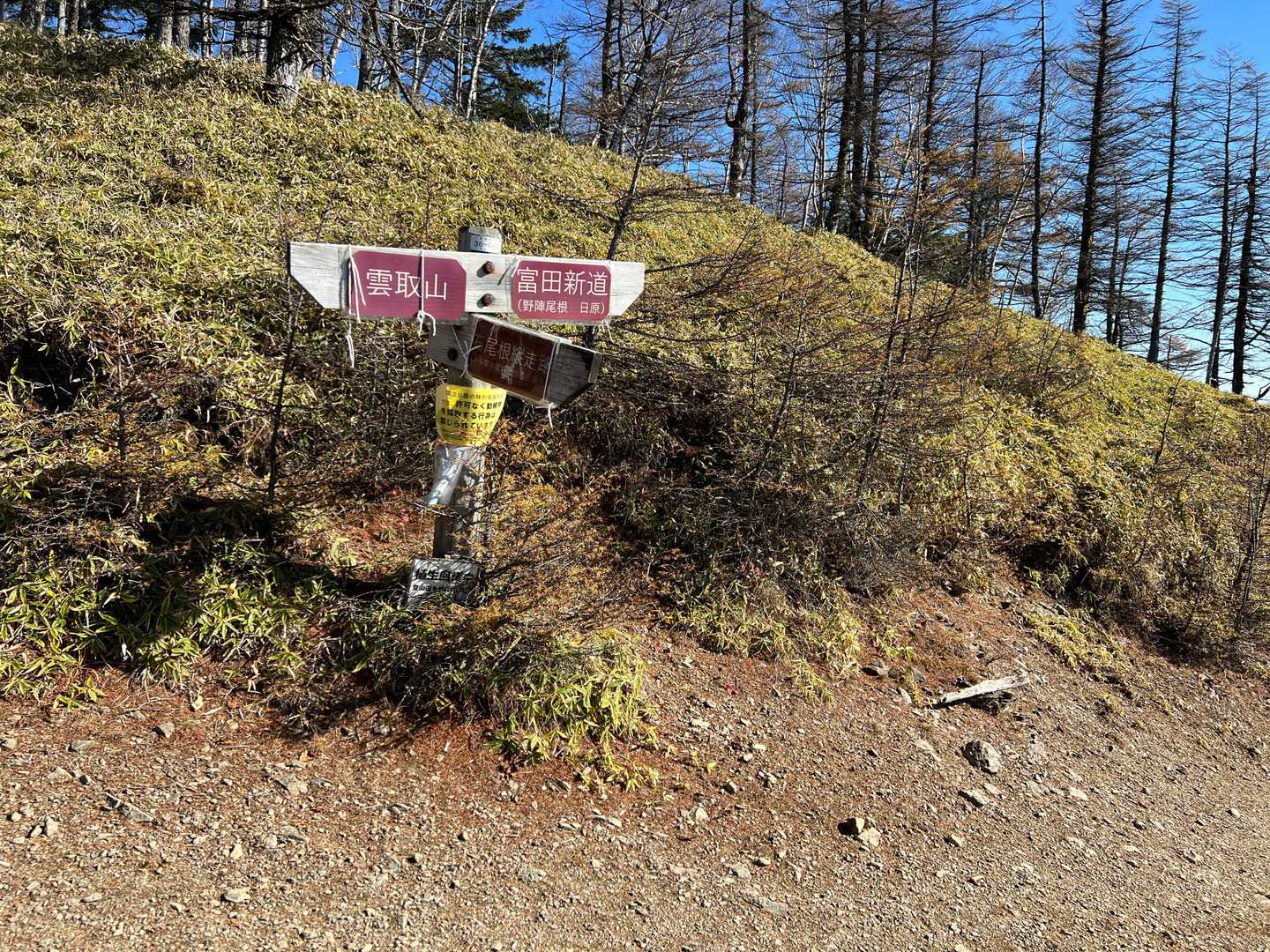 奥多摩テント泊縦走（鴨沢〜七ッ石小屋〜雲取山〜三峯神社） の写真 31