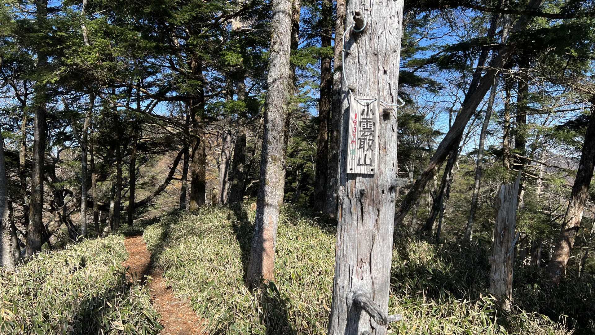 奥多摩テント泊縦走（鴨沢〜七ッ石小屋〜雲取山〜三峯神社） の写真 32