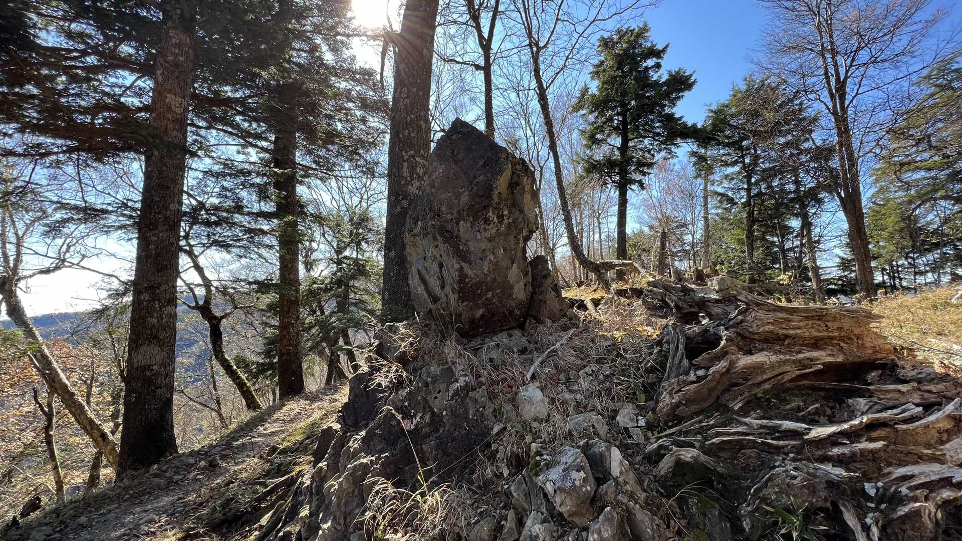 奥多摩テント泊縦走（鴨沢〜七ッ石小屋〜雲取山〜三峯神社） の写真 44