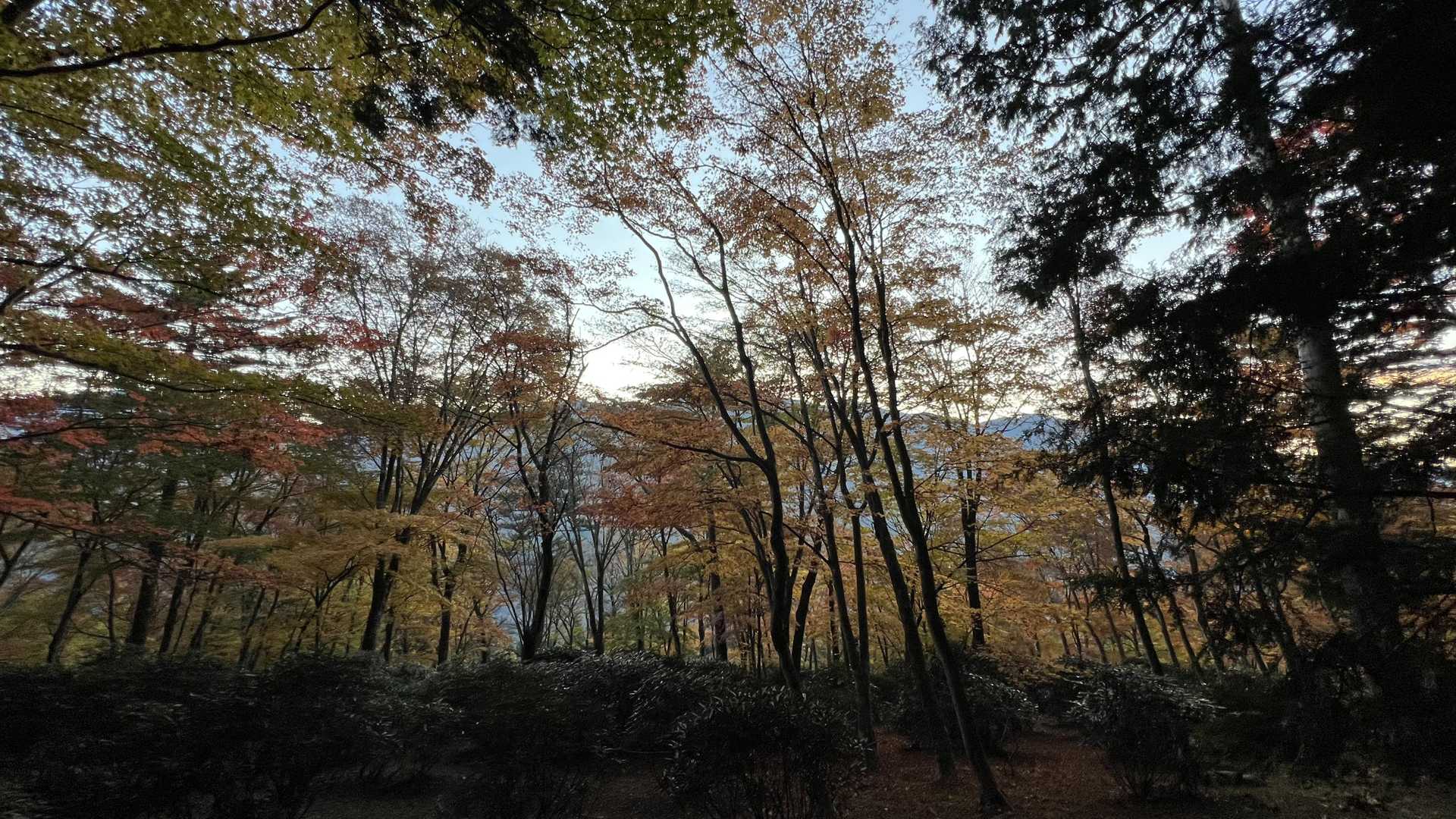 奥多摩テント泊縦走（鴨沢〜七ッ石小屋〜雲取山〜三峯神社） の写真 48