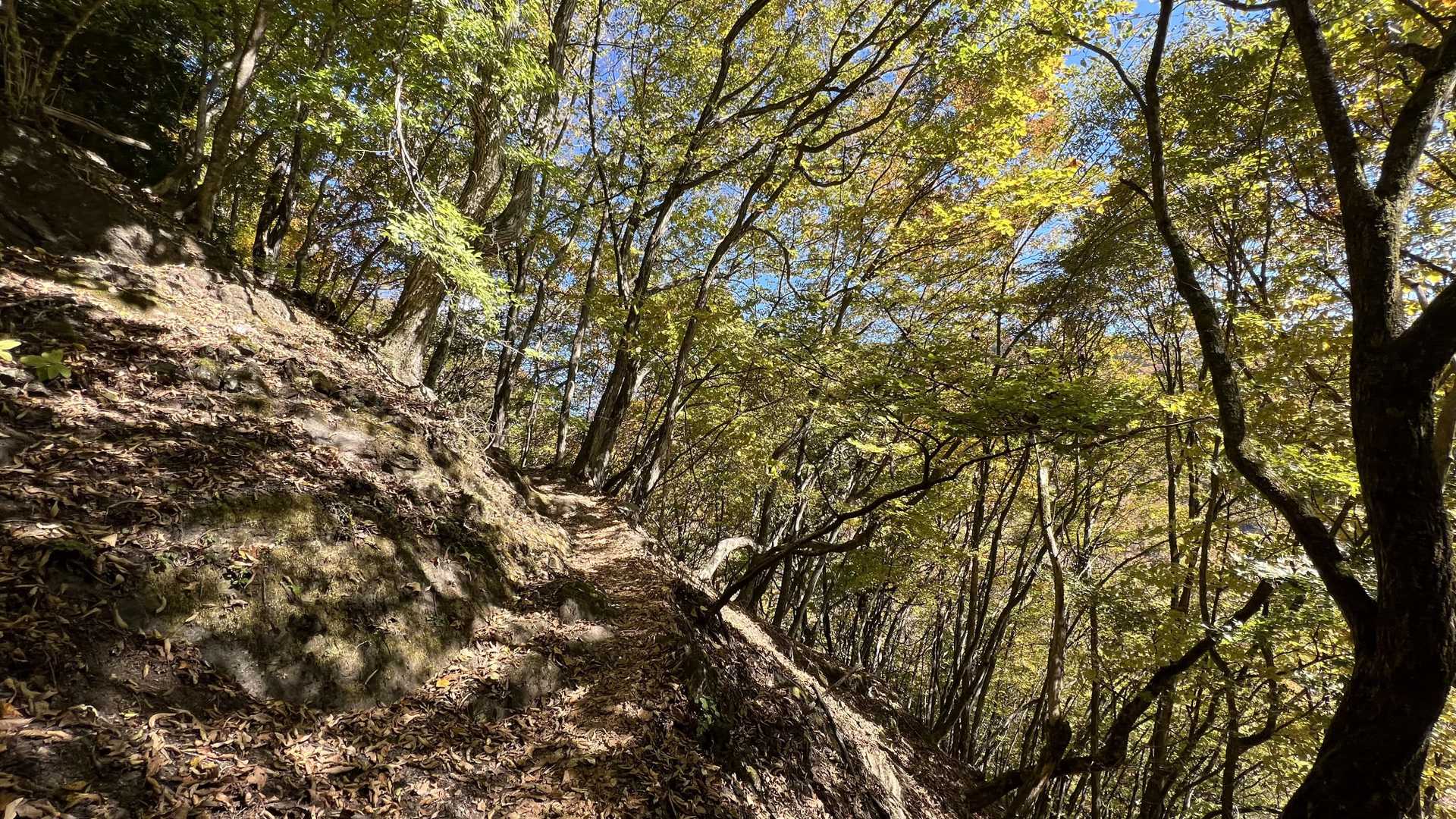 奥多摩テント泊縦走（鴨沢〜七ッ石小屋〜雲取山〜三峯神社） の写真 3