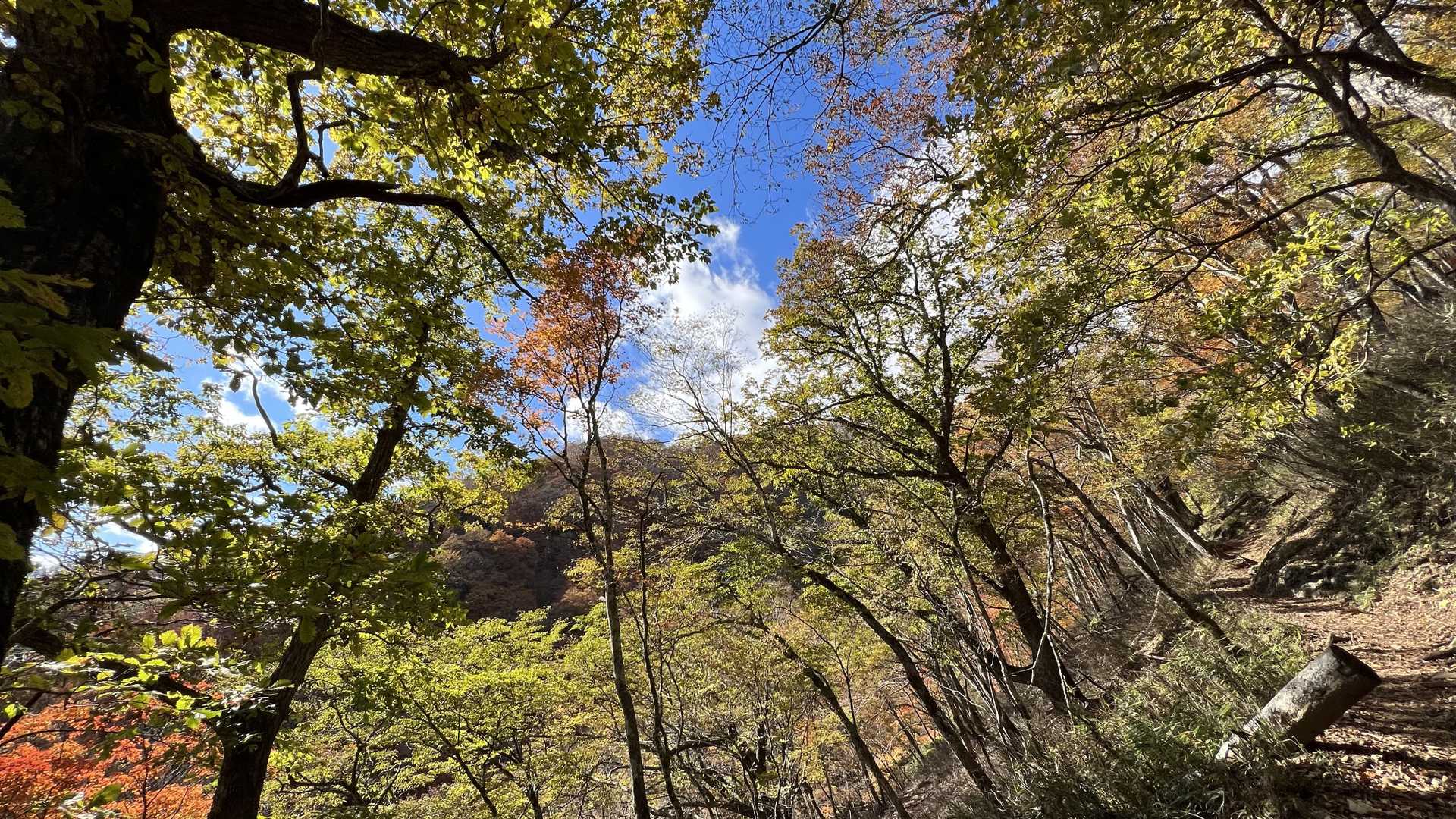 奥多摩テント泊縦走（鴨沢〜七ッ石小屋〜雲取山〜三峯神社） の写真 13
