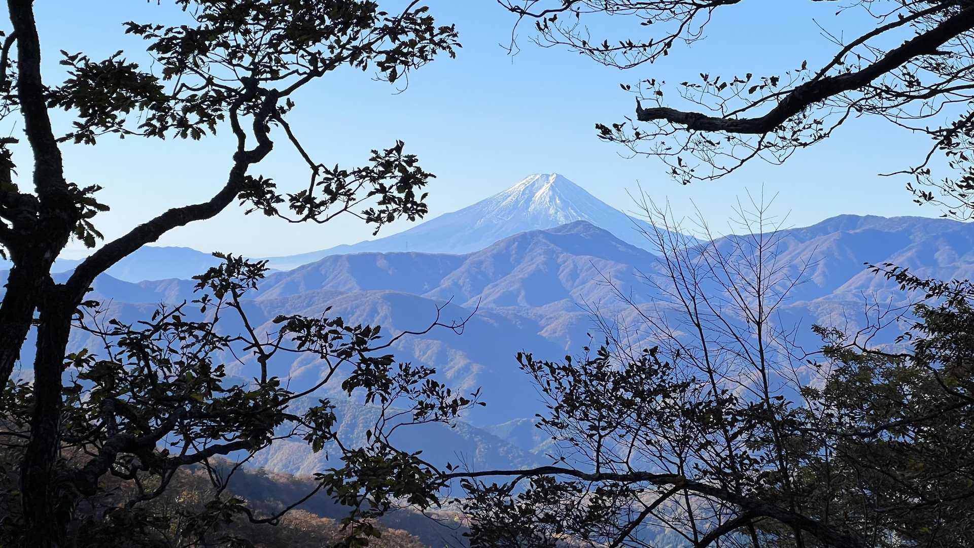 奥多摩テント泊縦走（鴨沢〜七ッ石小屋〜雲取山〜三峯神社） の写真 21