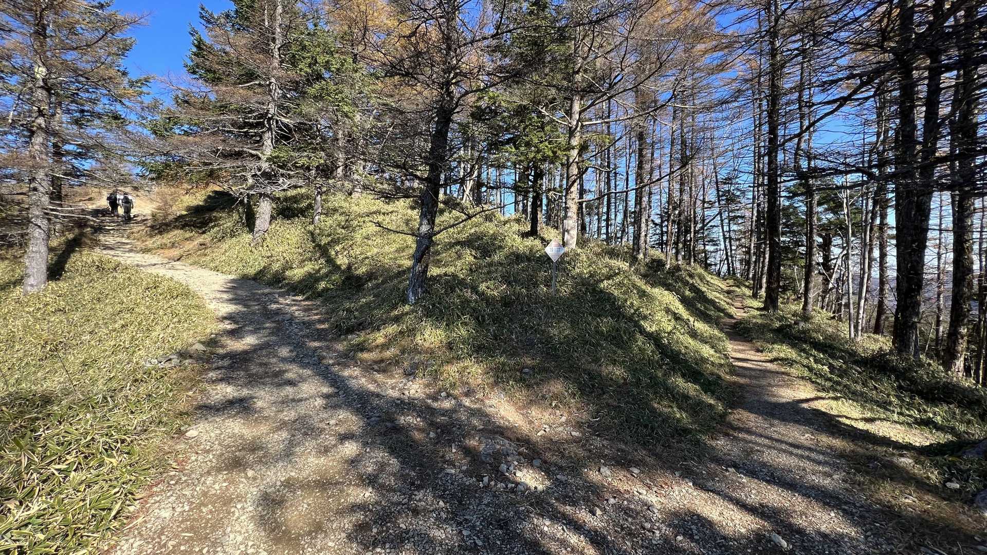 奥多摩テント泊縦走（鴨沢〜七ッ石小屋〜雲取山〜三峯神社） の写真 34