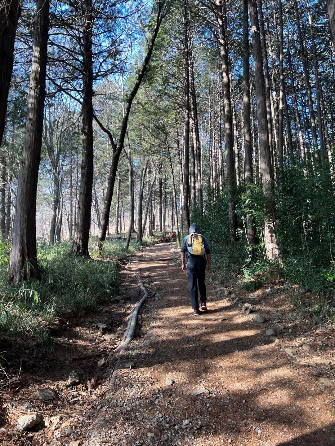 日和田山・高指山・物見山・横手山 の写真 1