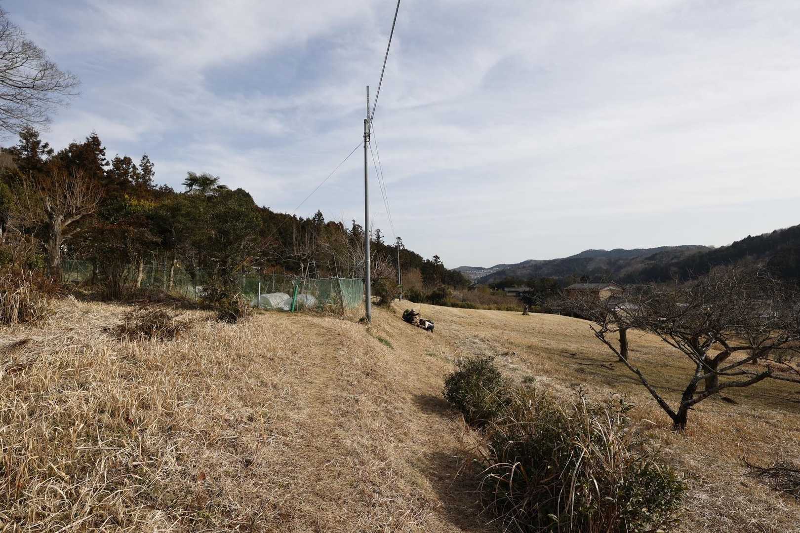 日和田山・高指山・物見山・横手山 の写真 14