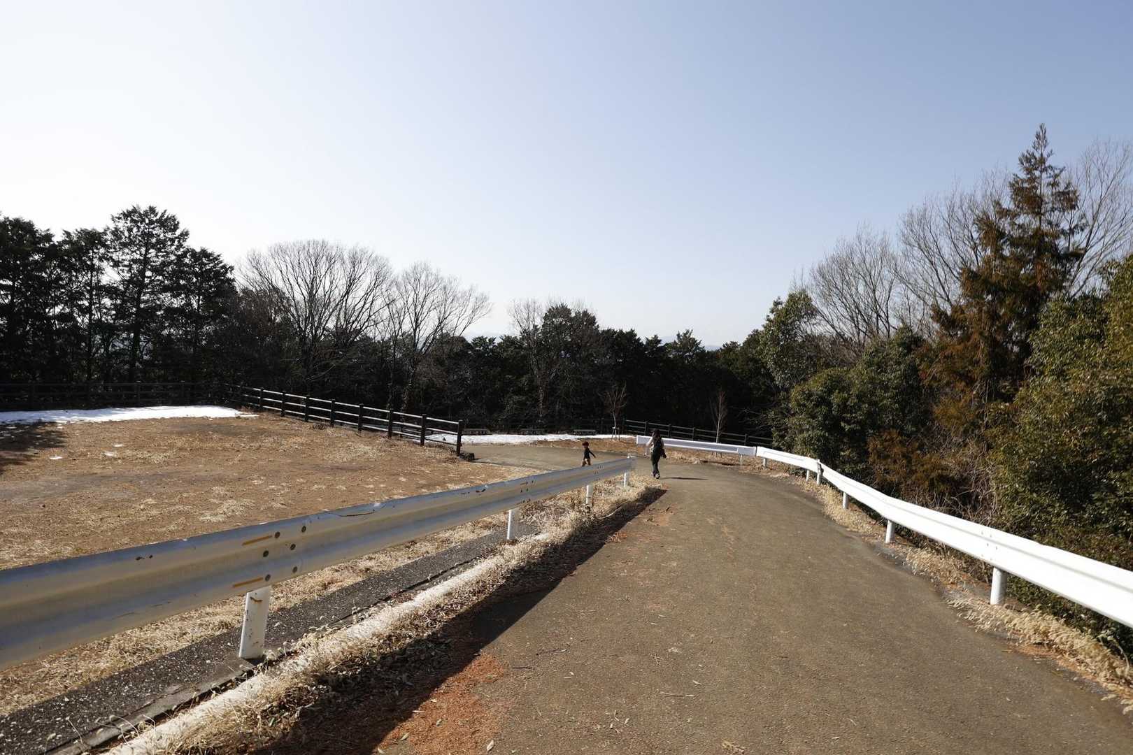 日和田山・高指山・物見山・横手山 の写真 4
