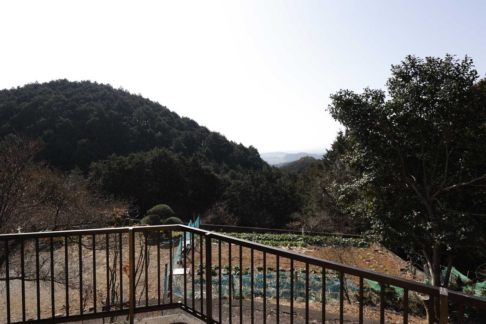 日和田山・高指山・物見山・横手山 の写真 5