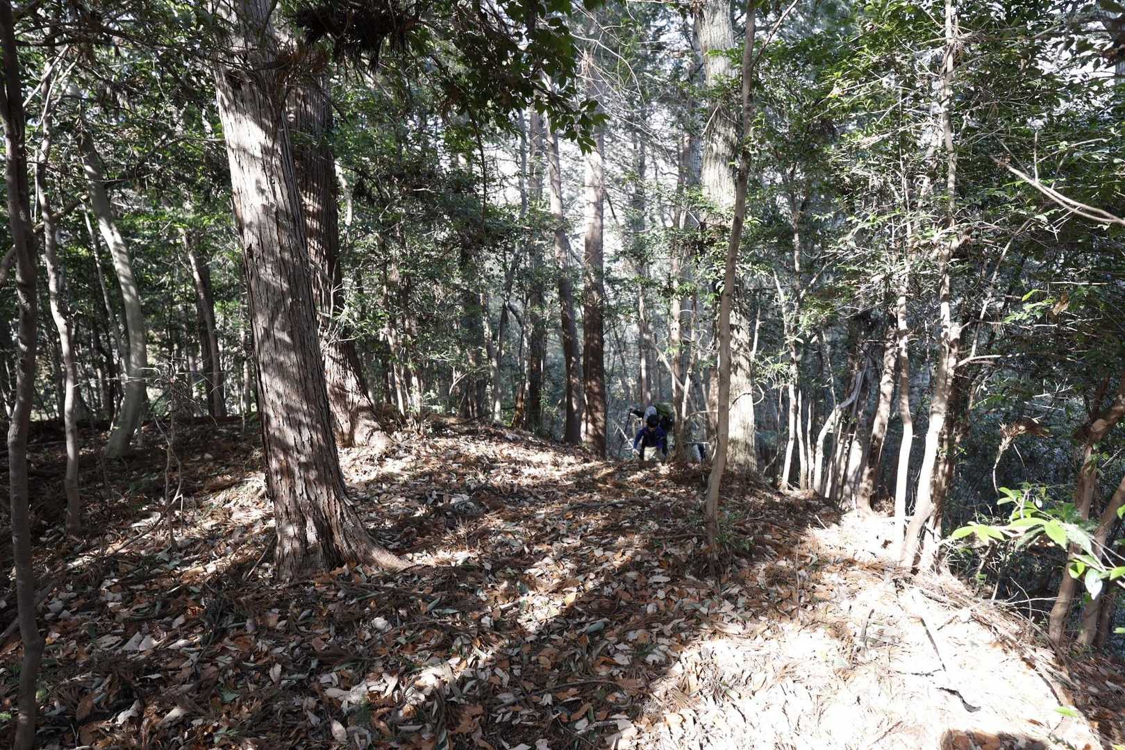 日和田山・高指山・物見山・横手山 の写真 12