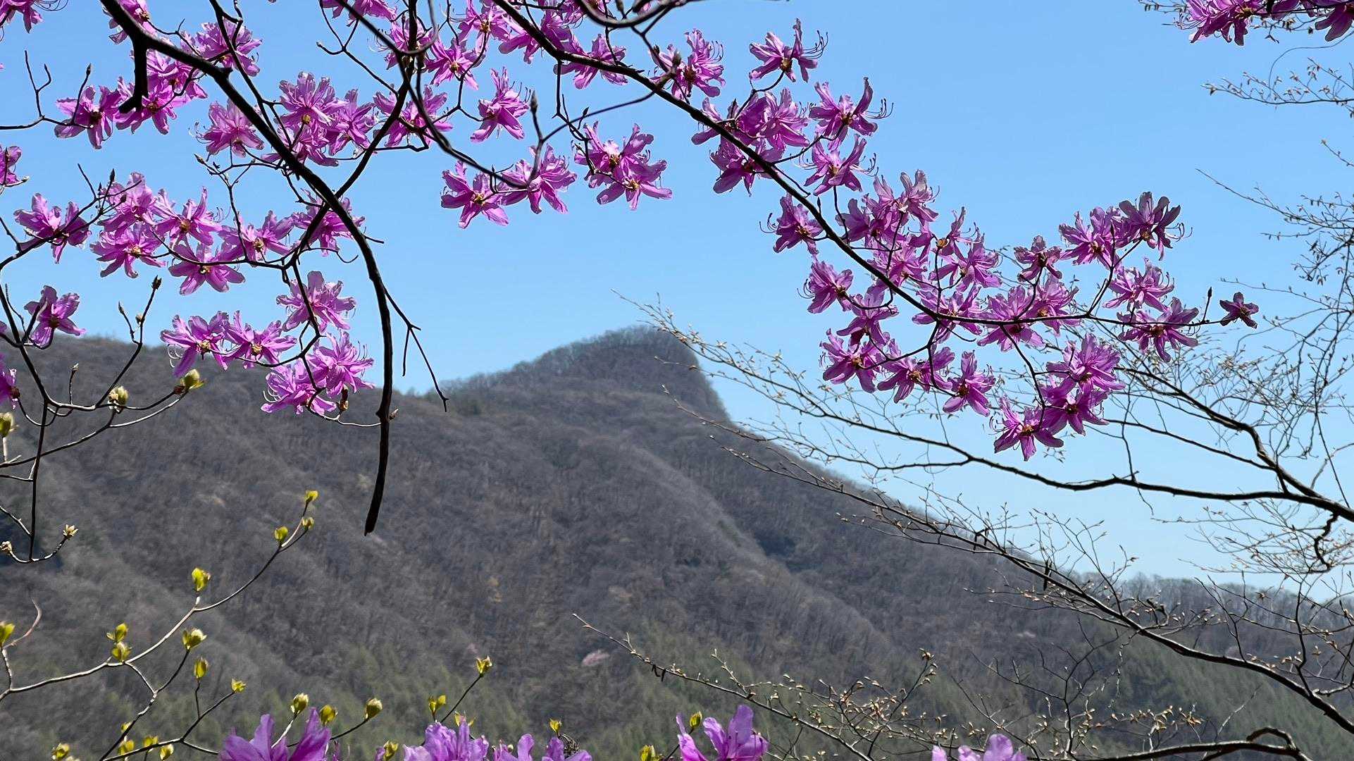 荒船山（経塚山） の写真 15