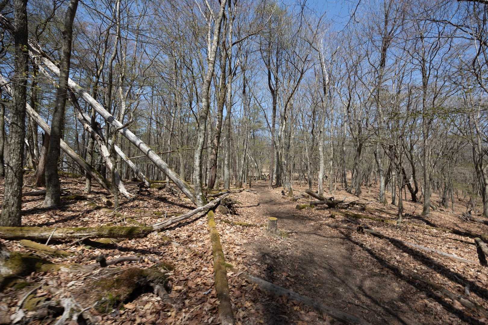 荒船山（経塚山） の写真 11