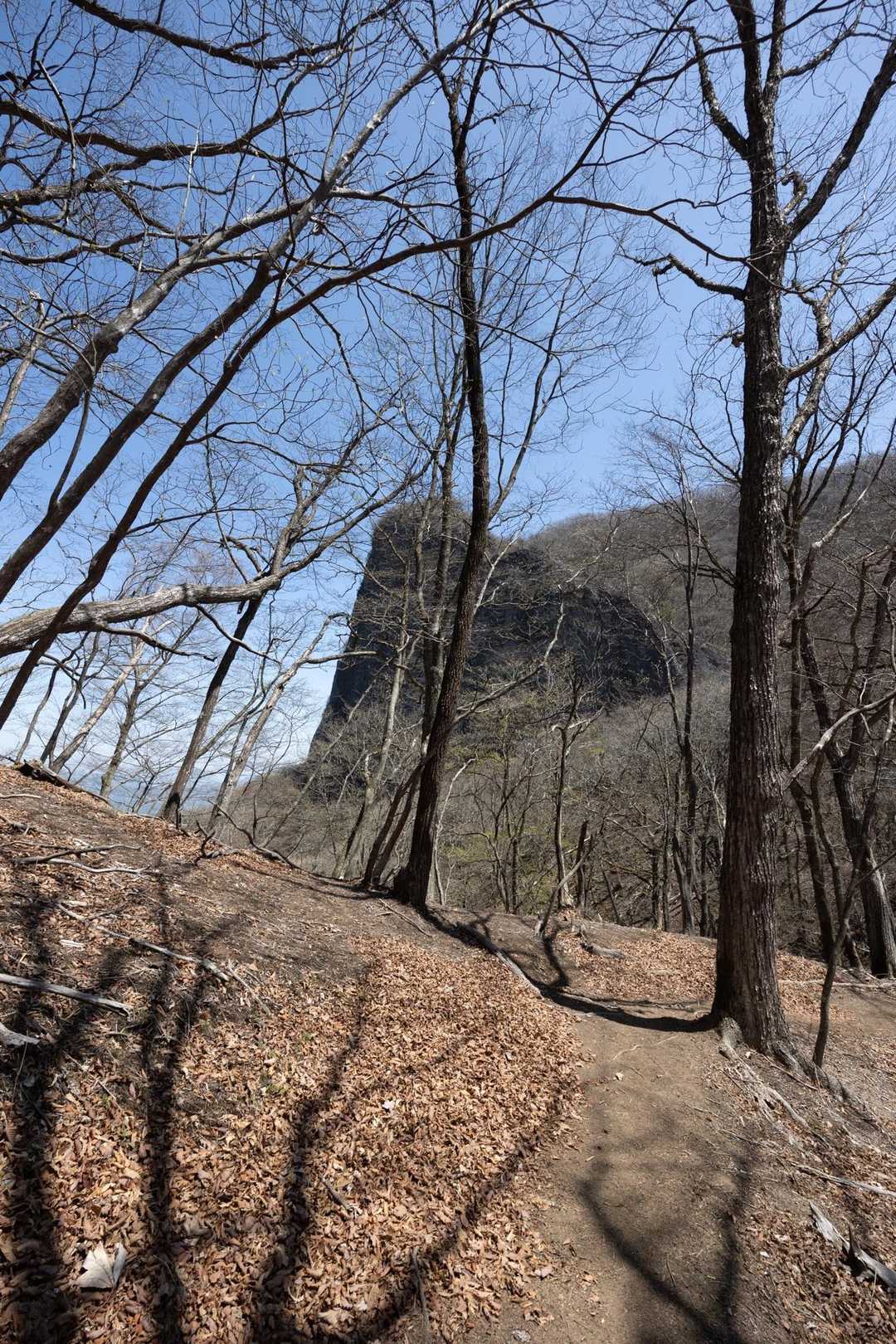 荒船山（経塚山） の写真 14