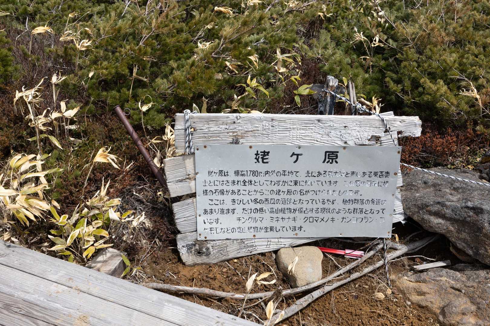 一切経山 の写真 33