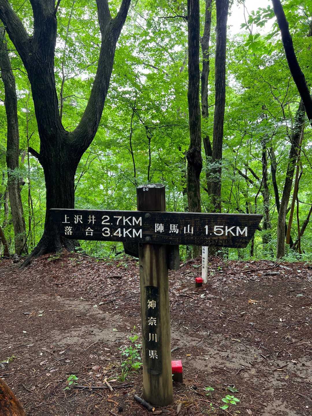 陣馬山・景信山縦走 の写真 4