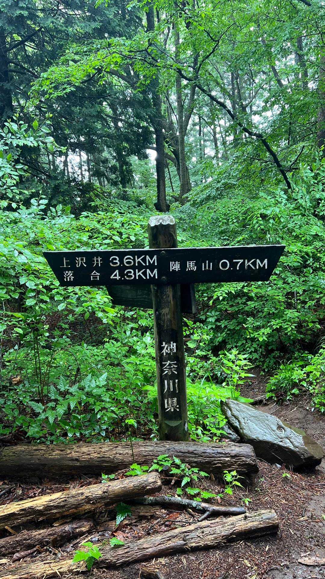 陣馬山・景信山縦走 の写真 6