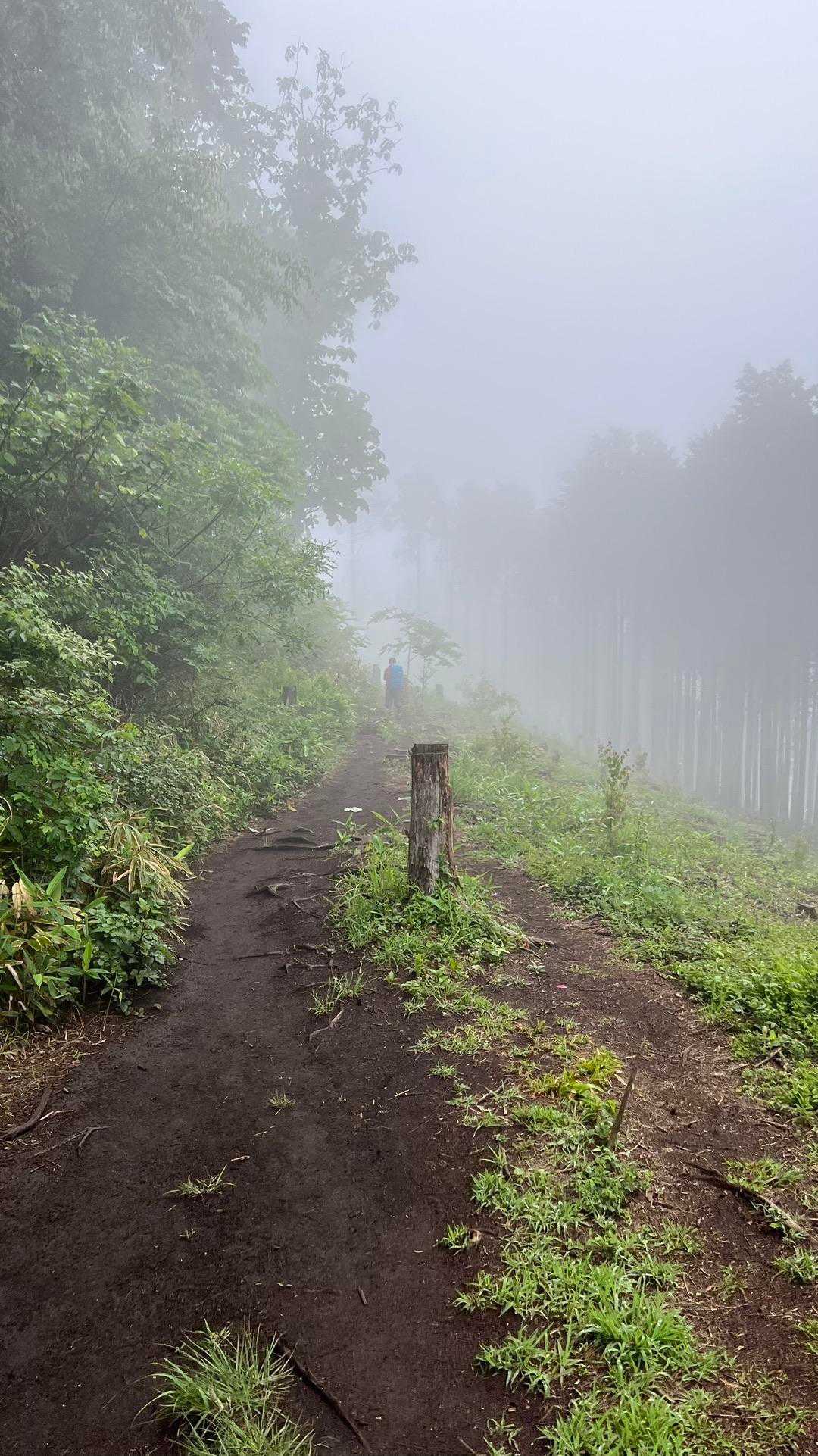 陣馬山・景信山縦走 の写真 11