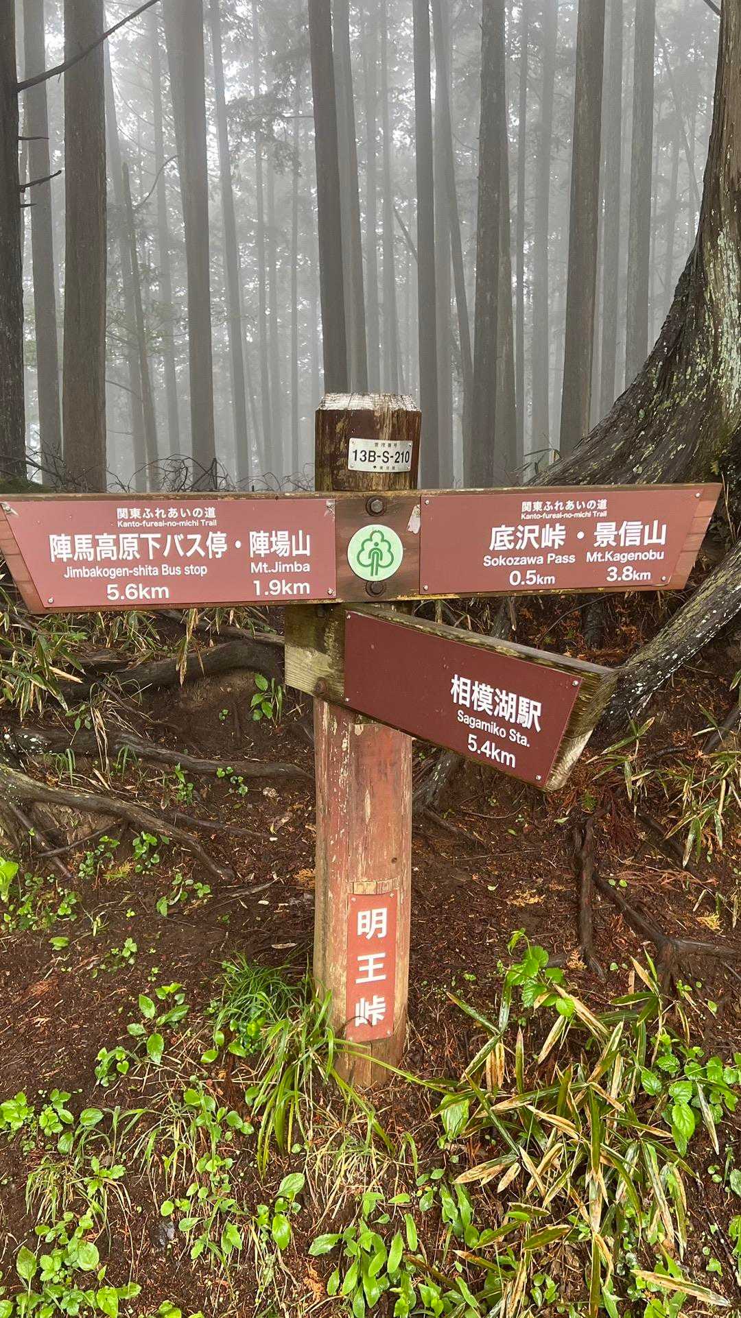 陣馬山・景信山縦走 の写真 10