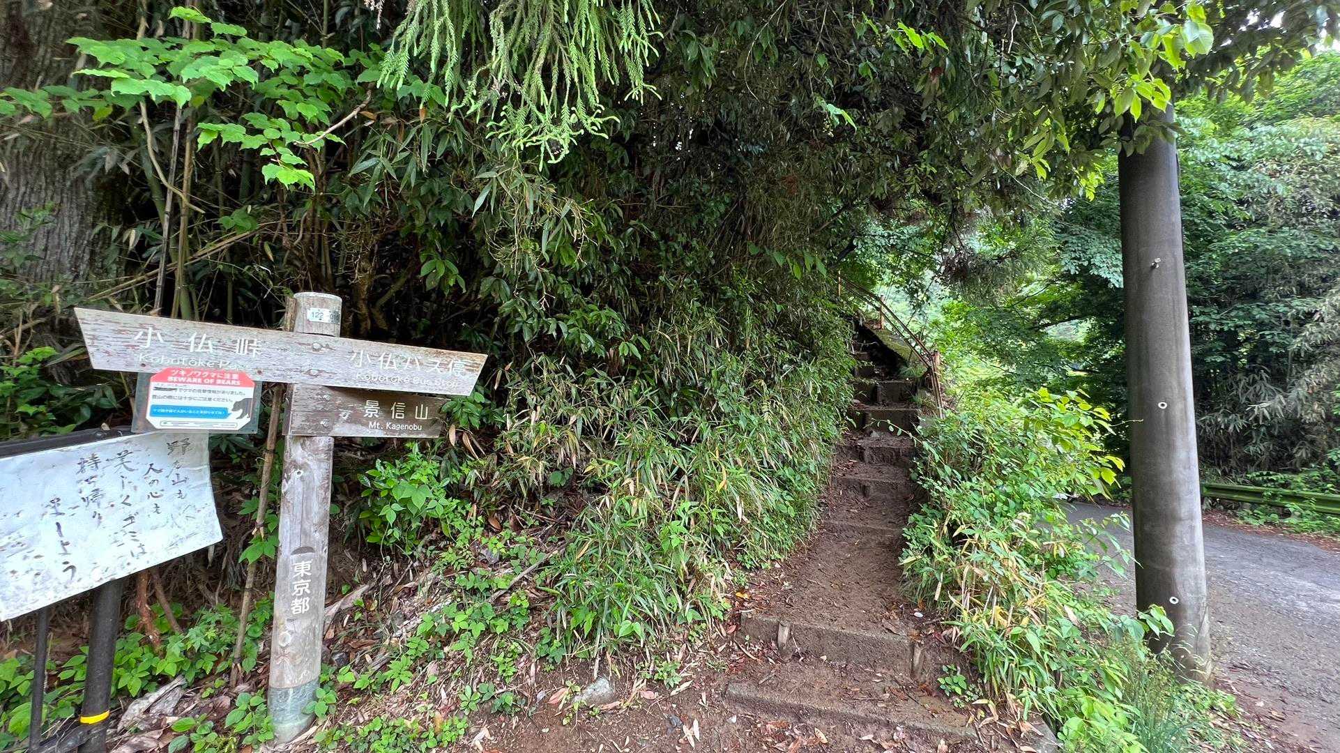 陣馬山・景信山縦走 の写真 13