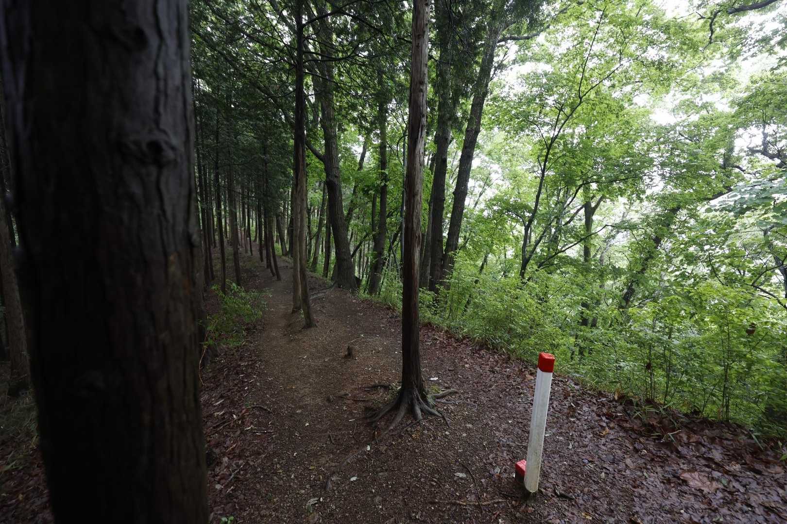 陣馬山・景信山縦走 の写真 3