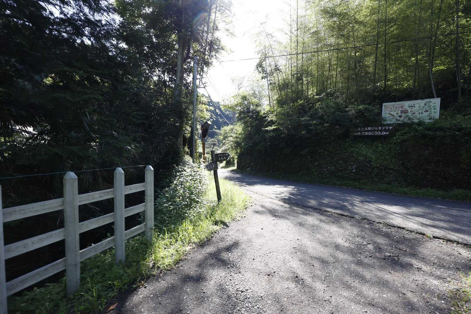伊豆ヶ岳・高畑山・子ノ山（飯能アルプス3座）縦走 の写真 1
