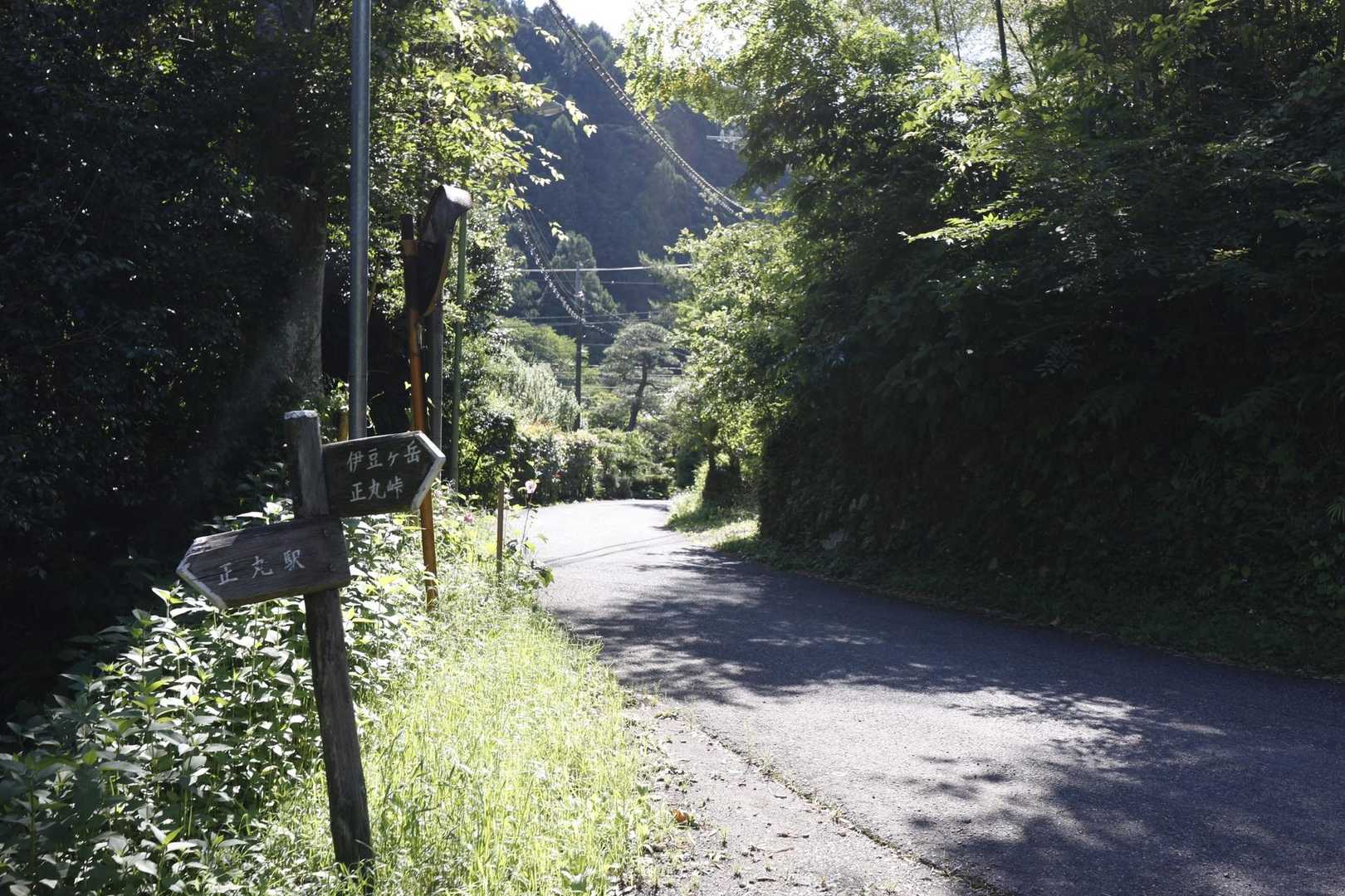 伊豆ヶ岳・高畑山・子ノ山（飯能アルプス3座）縦走 の写真 2