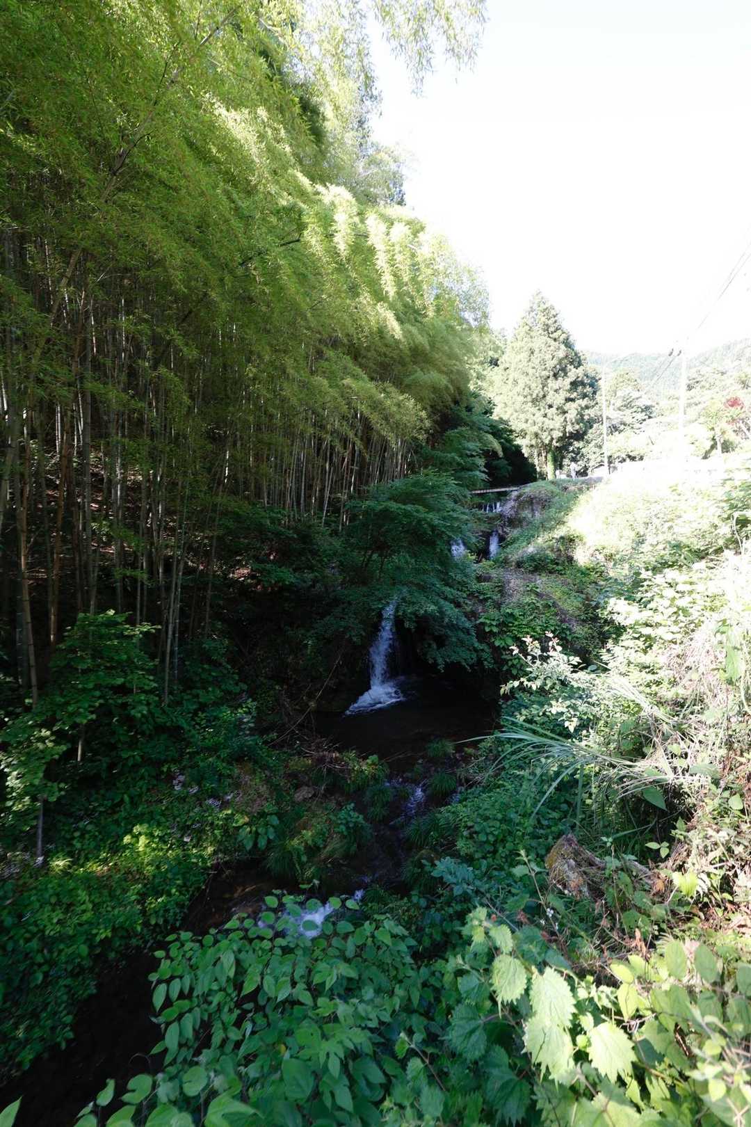 伊豆ヶ岳・高畑山・子ノ山（飯能アルプス3座）縦走 の写真 4