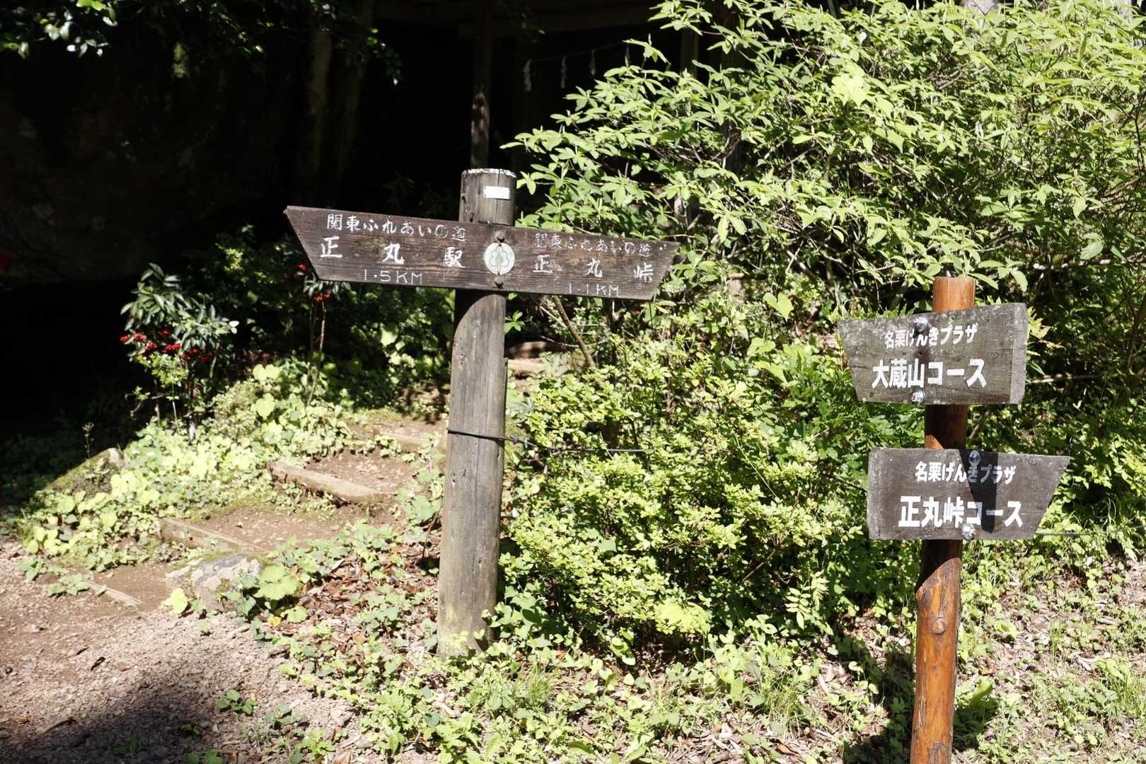 伊豆ヶ岳・高畑山・子ノ山（飯能アルプス3座）縦走 の写真 6