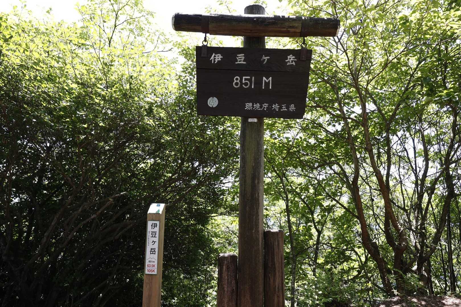伊豆ヶ岳・高畑山・子ノ山（飯能アルプス3座）縦走 の写真 9