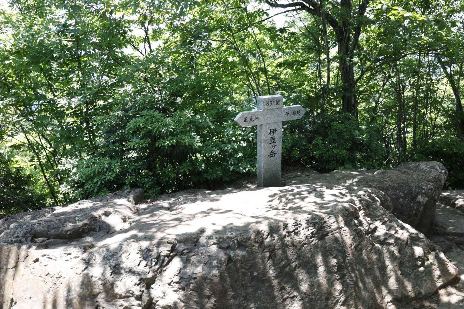 伊豆ヶ岳・高畑山・子ノ山（飯能アルプス3座）縦走 の写真 10
