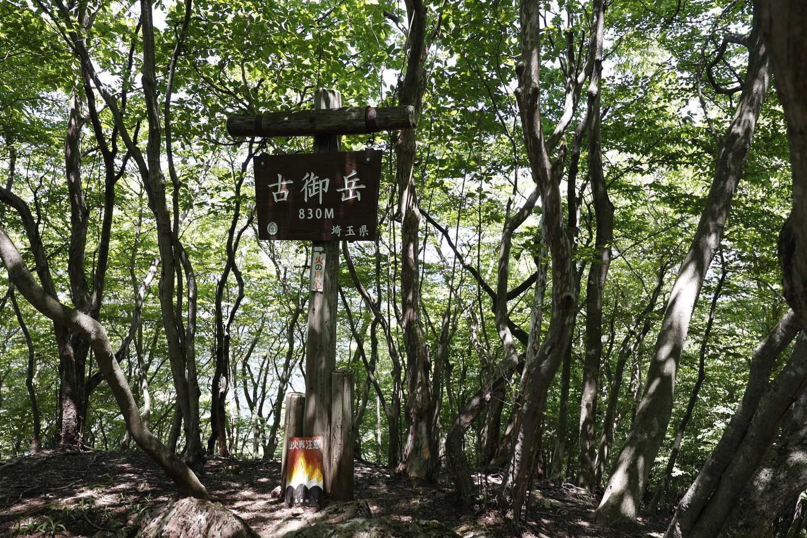 伊豆ヶ岳・高畑山・子ノ山（飯能アルプス3座）縦走 の写真 12