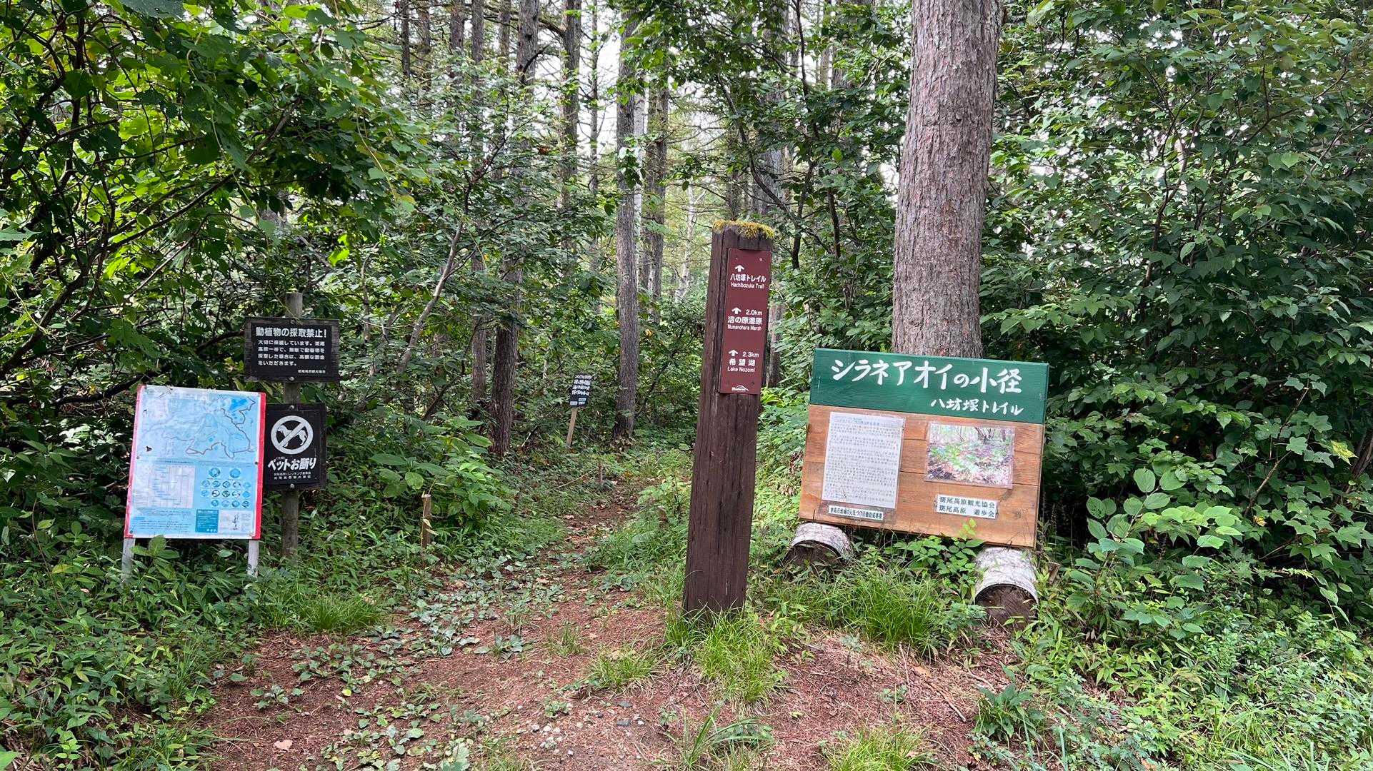信越トレイル#2（sec.2-3／赤池〜涌井〜桂池〜仏ケ峰登山口〜上境駅） の写真 2