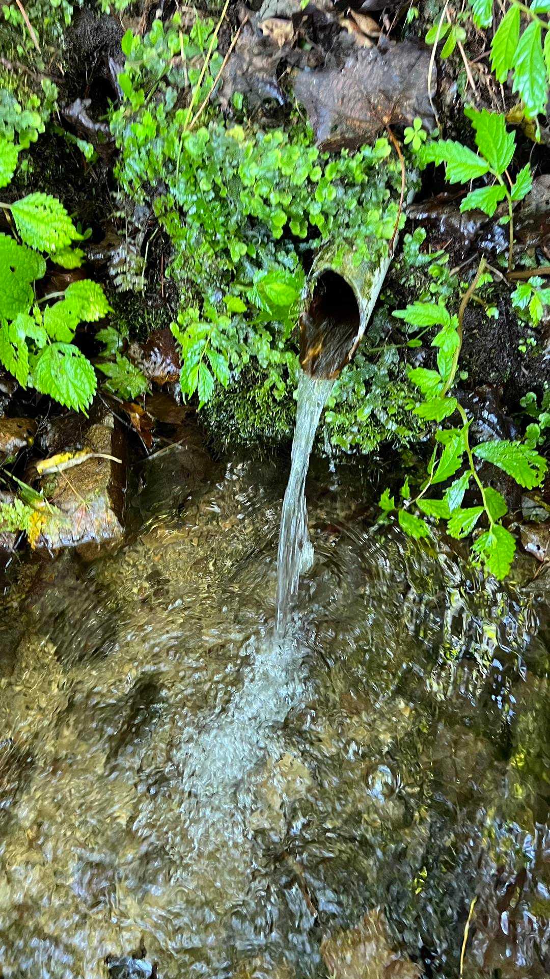 水場、公式マップにもある農道脇の水場