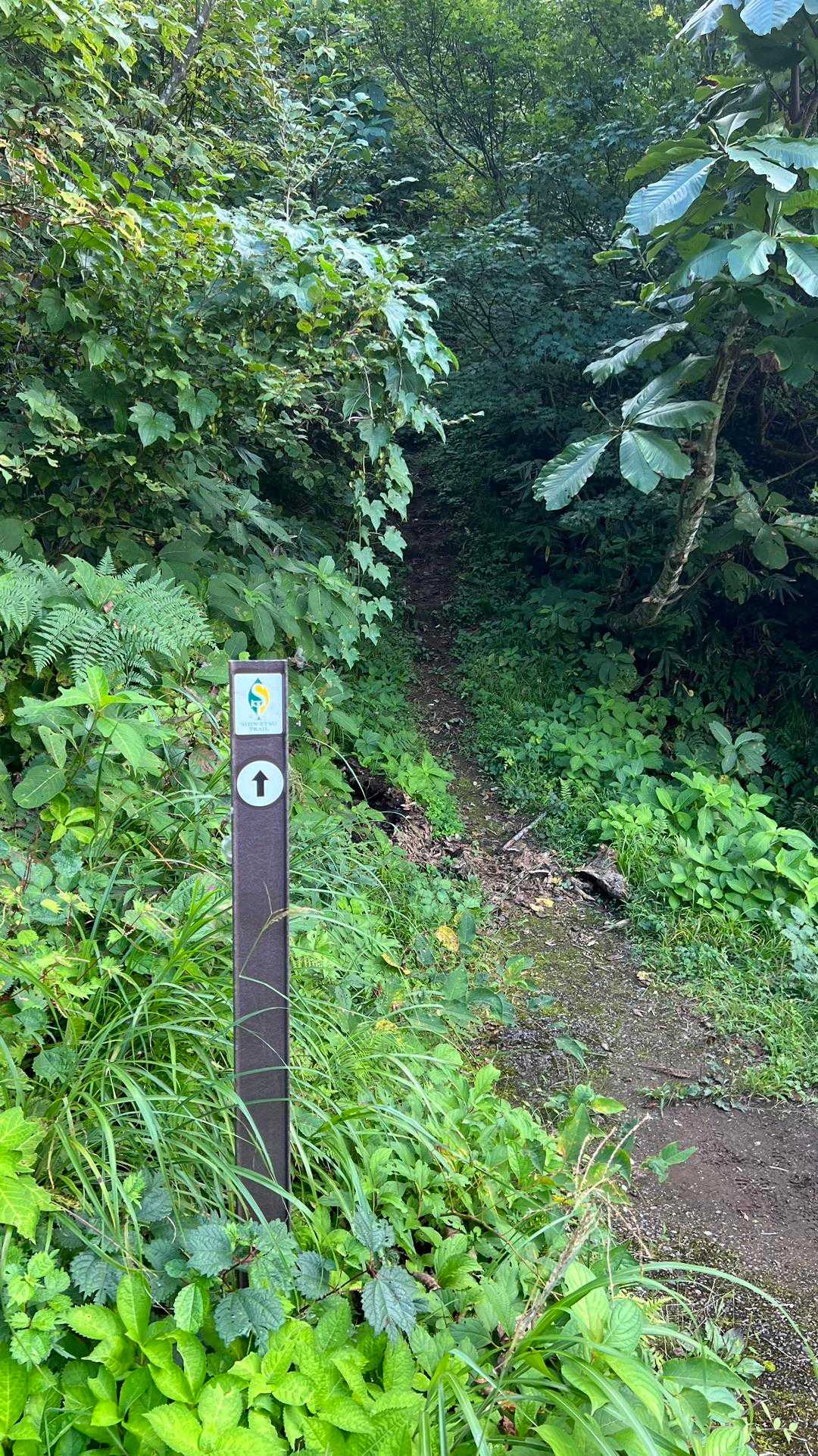 信越トレイル#2（sec.2-3／赤池〜涌井〜桂池〜仏ケ峰登山口〜上境駅） の写真 30