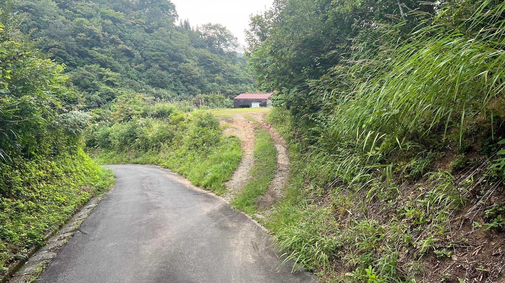 信越トレイル#2（sec.2-3／赤池〜涌井〜桂池〜仏ケ峰登山口〜上境駅） の写真 33
