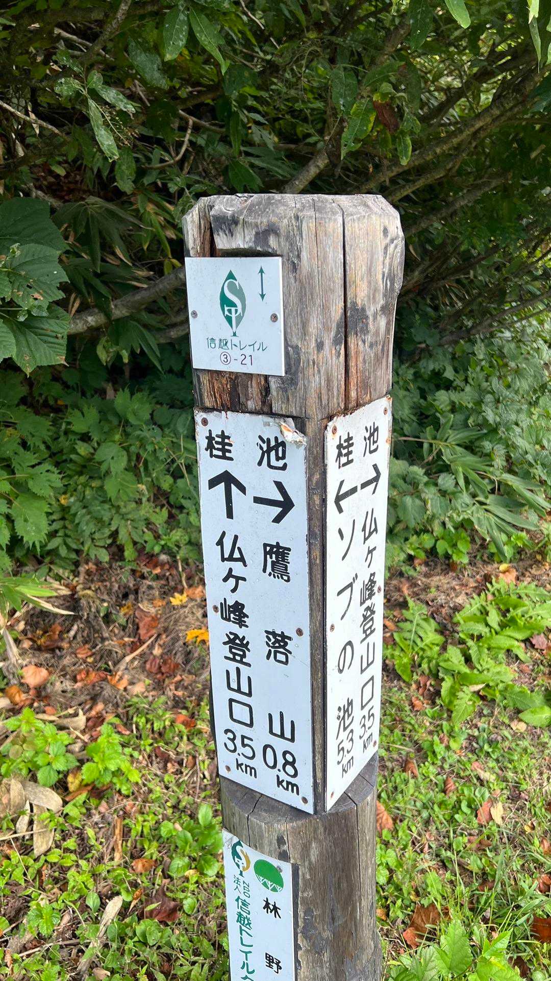3-21、桂池