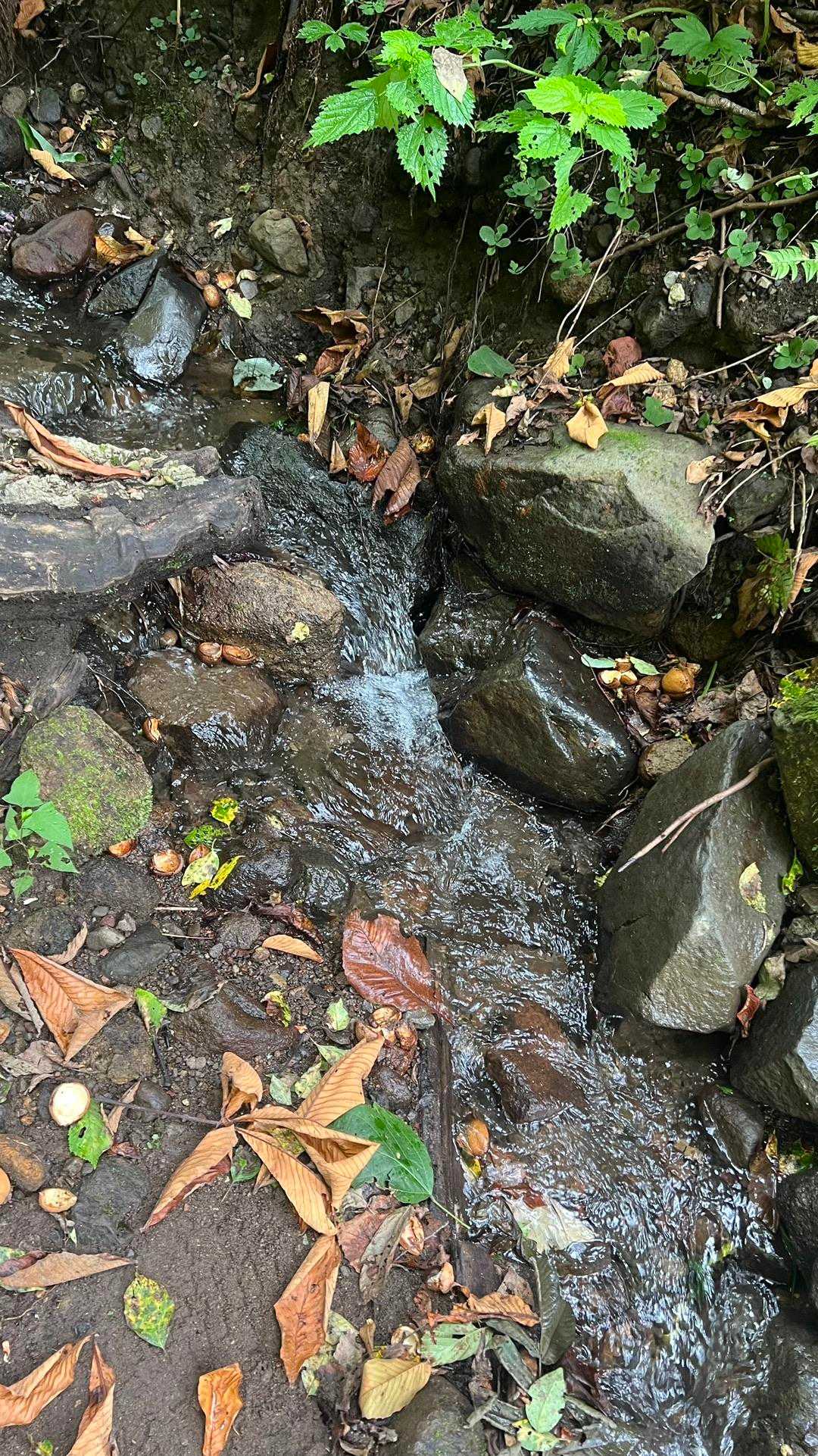 渡渉、浄水したらきっと飲めます