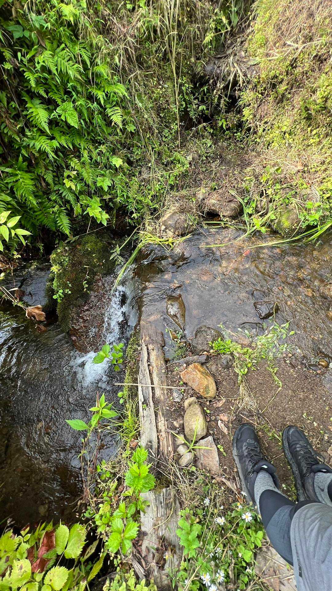 渡渉、浄水したらきっと飲めます