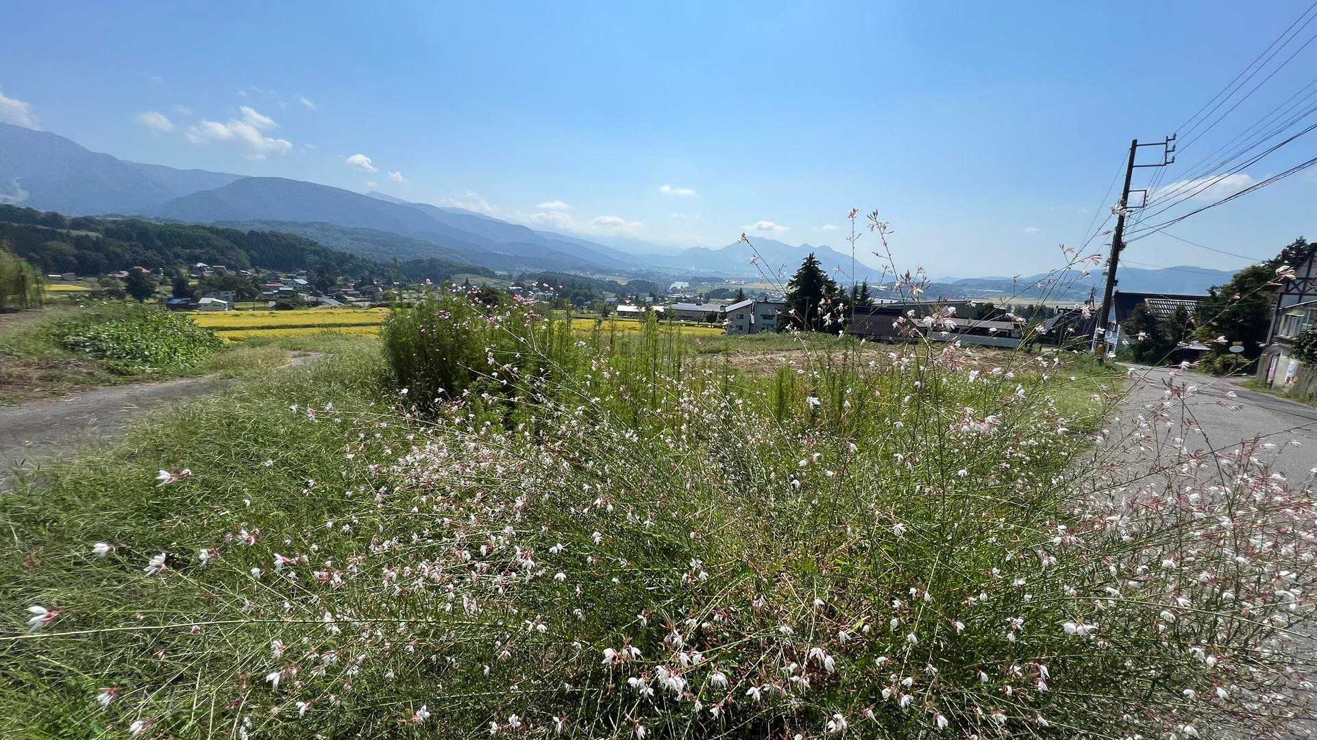 信越トレイル#2（sec.2-3／赤池〜涌井〜桂池〜仏ケ峰登山口〜上境駅） の写真 43