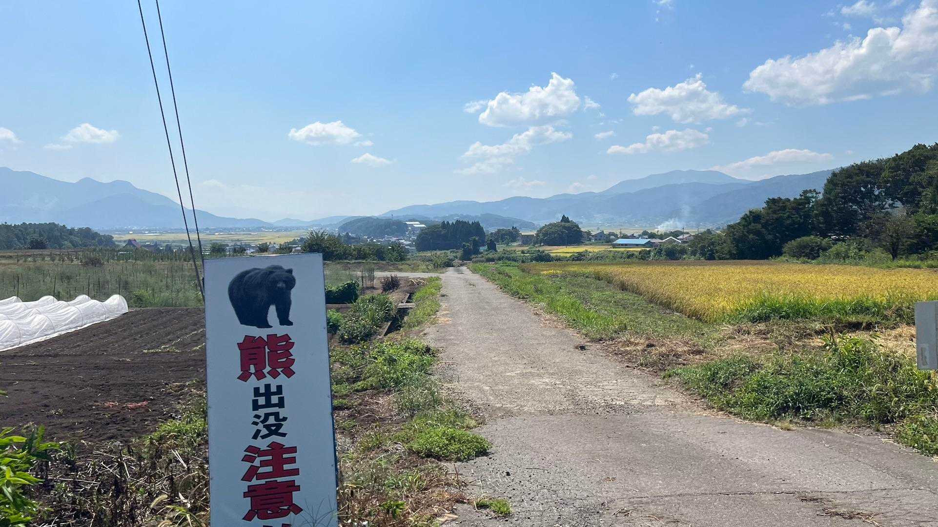 信越トレイル#2（sec.2-3／赤池〜涌井〜桂池〜仏ケ峰登山口〜上境駅） の写真 45