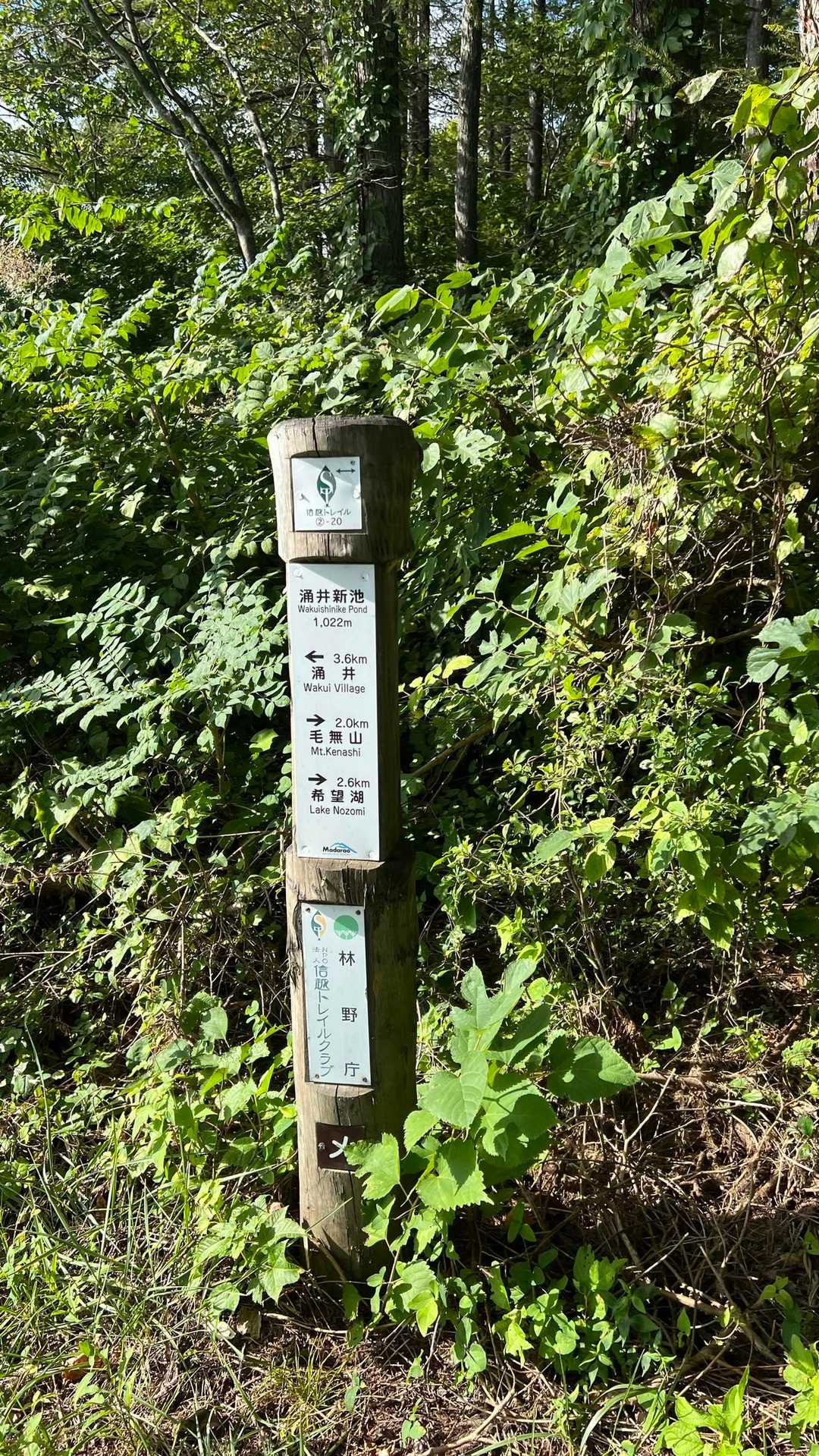 2-20、涌井新池