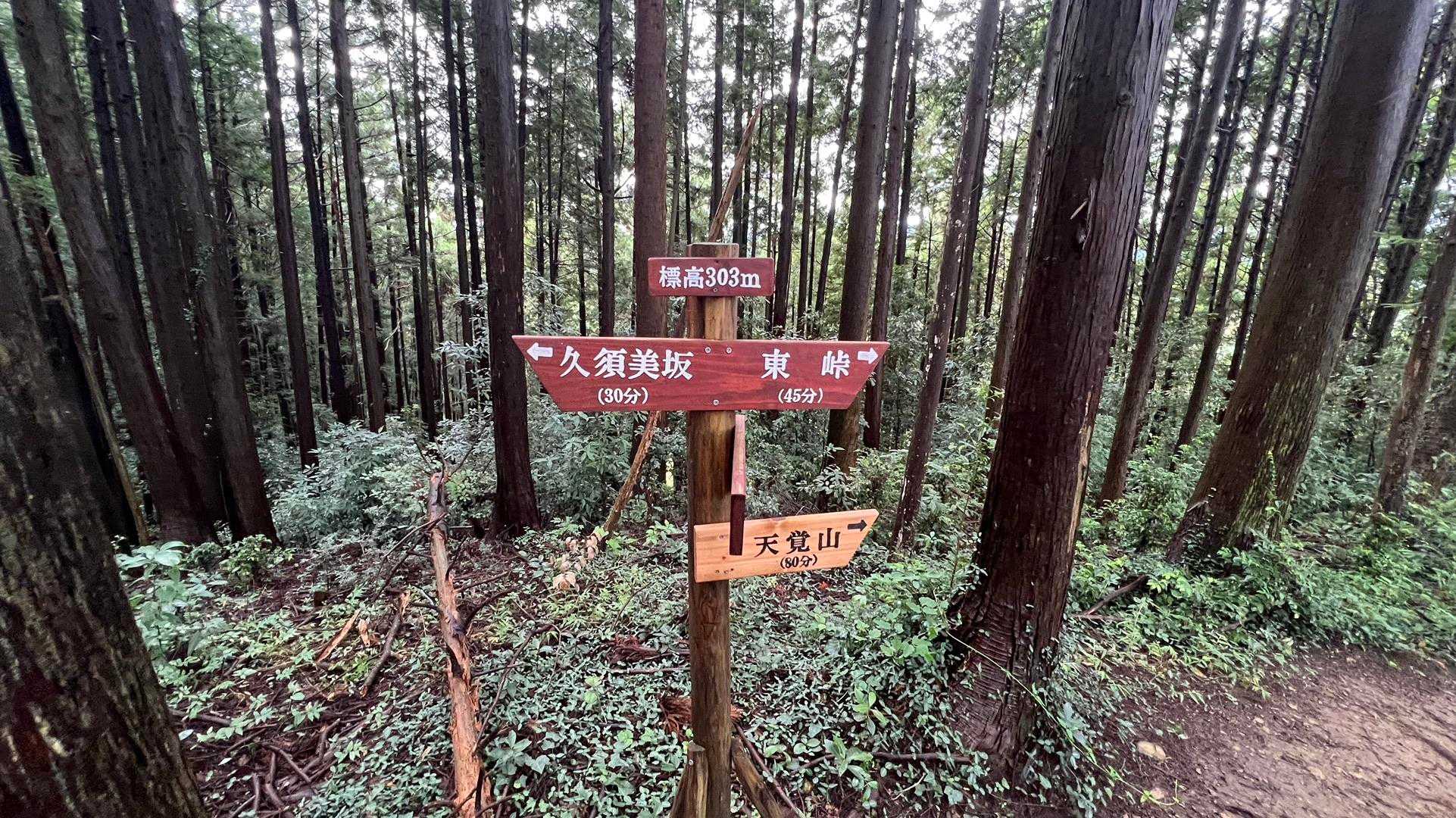 飯能アルプス（天覚山〜多峯主山〜天覧山） の写真 5