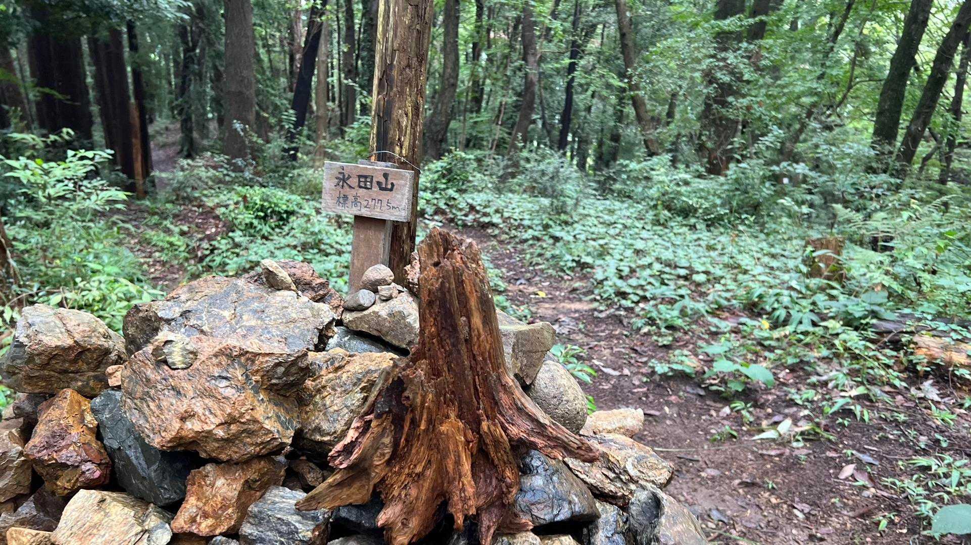 飯能アルプス（天覚山〜多峯主山〜天覧山） の写真 7