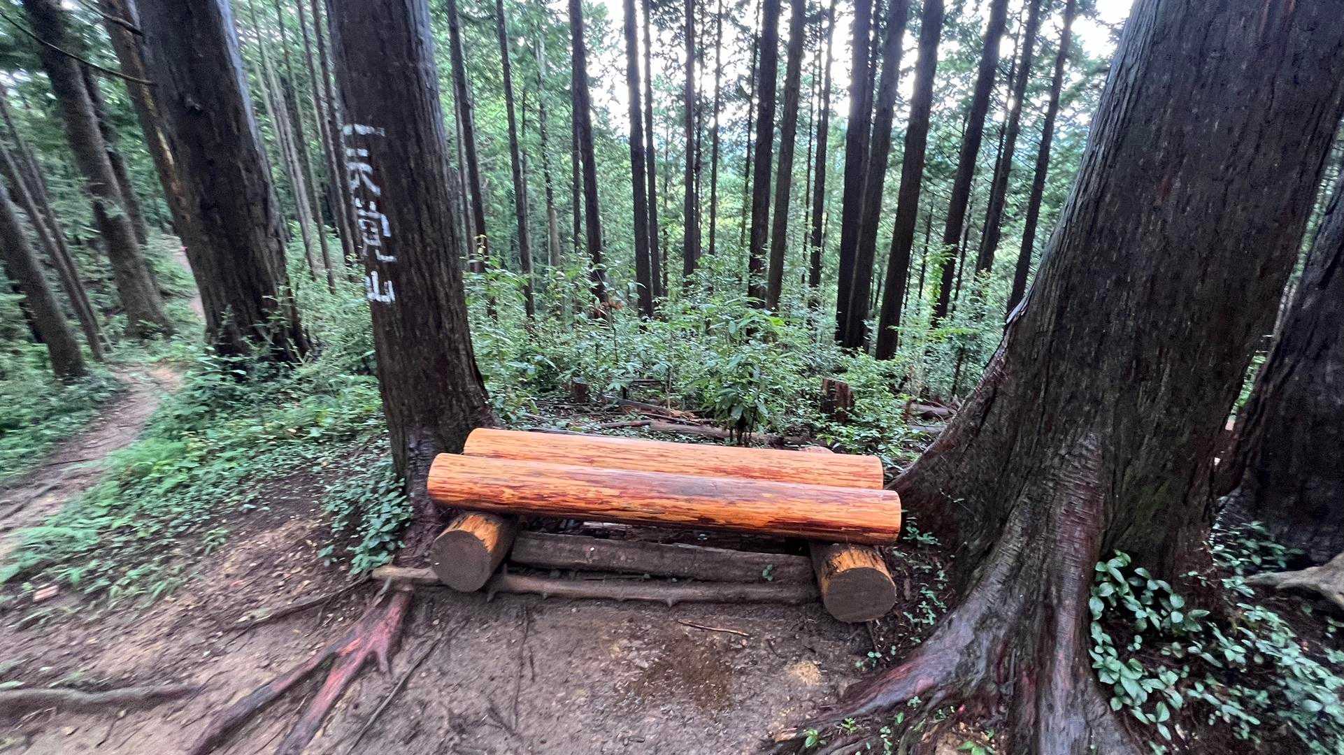 飯能アルプス（天覚山〜多峯主山〜天覧山） の写真 6