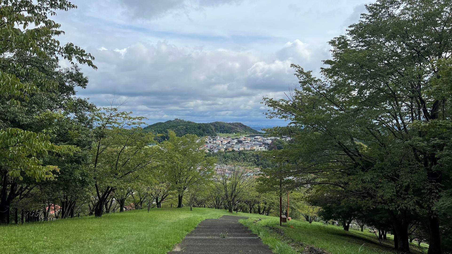飯能アルプス（天覚山〜多峯主山〜天覧山） の写真 8