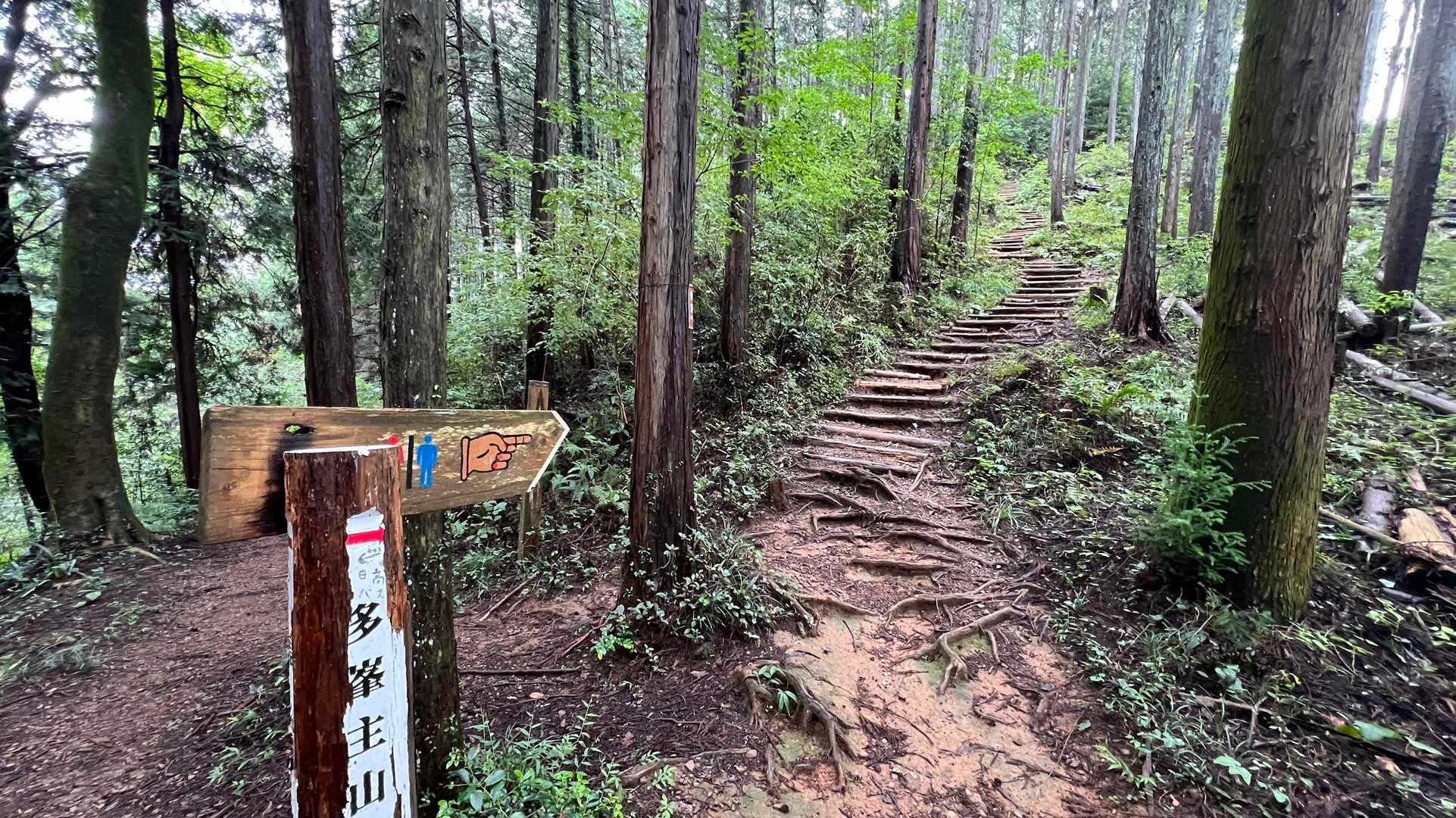 飯能アルプス（天覚山〜多峯主山〜天覧山） の写真 10